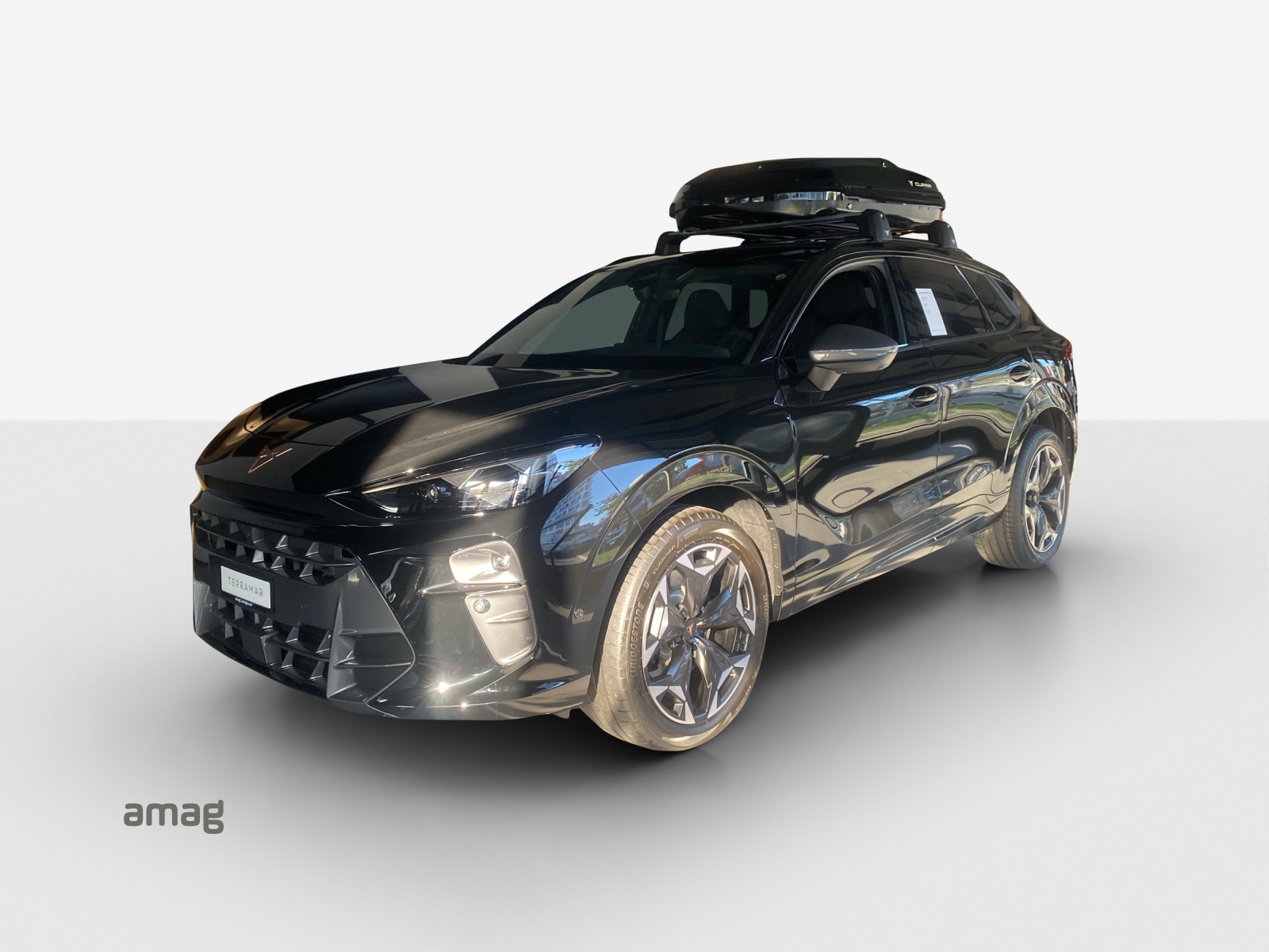 CUPRA Terramar 2.0 TSI DSG 4Drive VZ-image-0