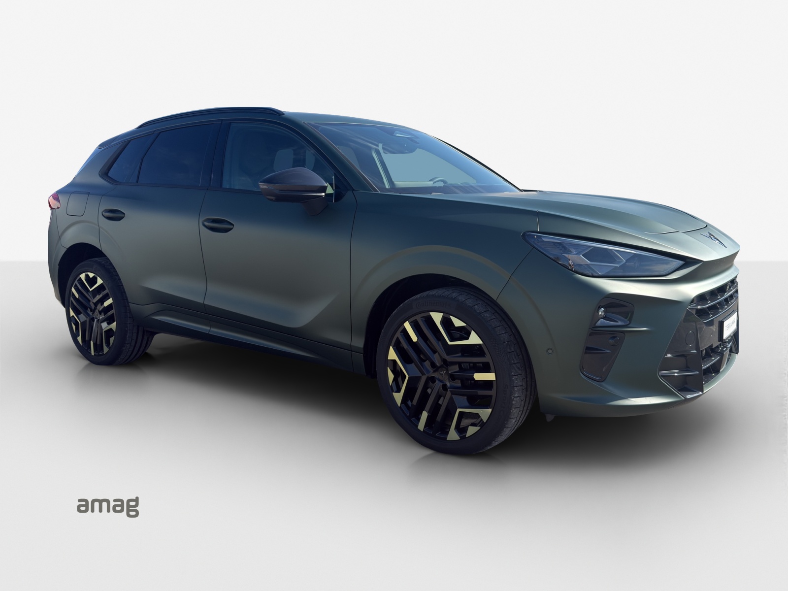 CUPRA Terramar 2.0 TSI DSG Prime Edition VZ 4Drive-image-5
