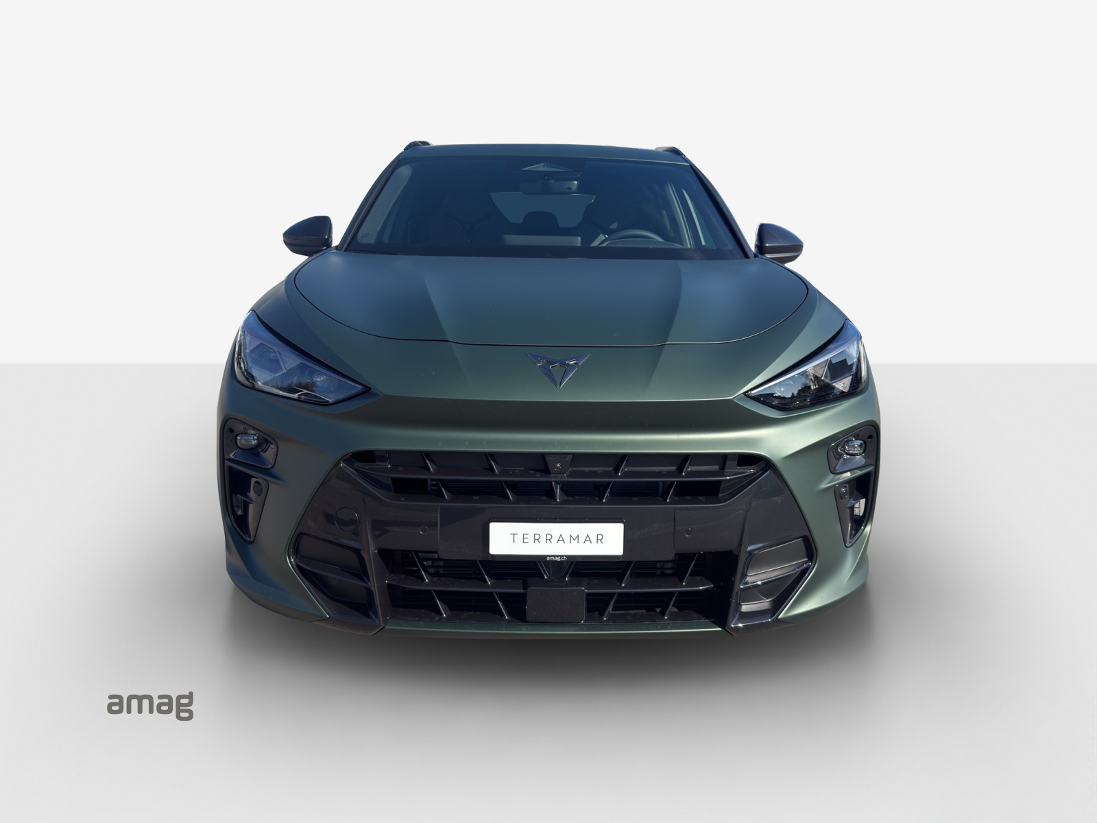 CUPRA Terramar 2.0 TSI DSG Prime Edition VZ 4Drive-image-6