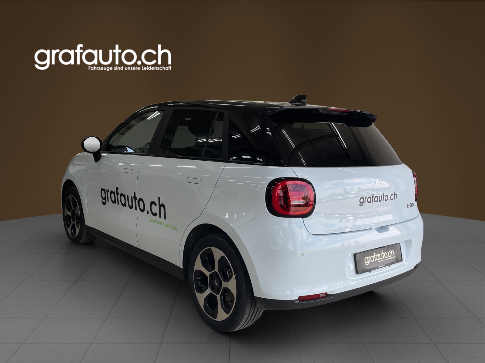 JAC E30X City-image-3