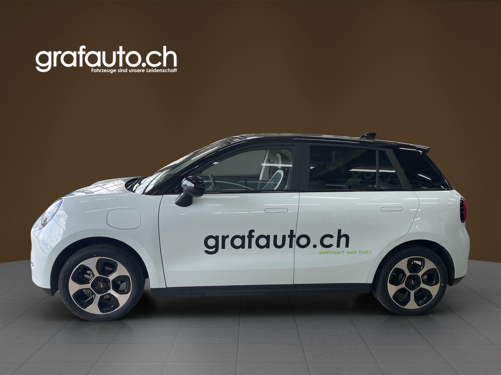 JAC E30X City-image-0