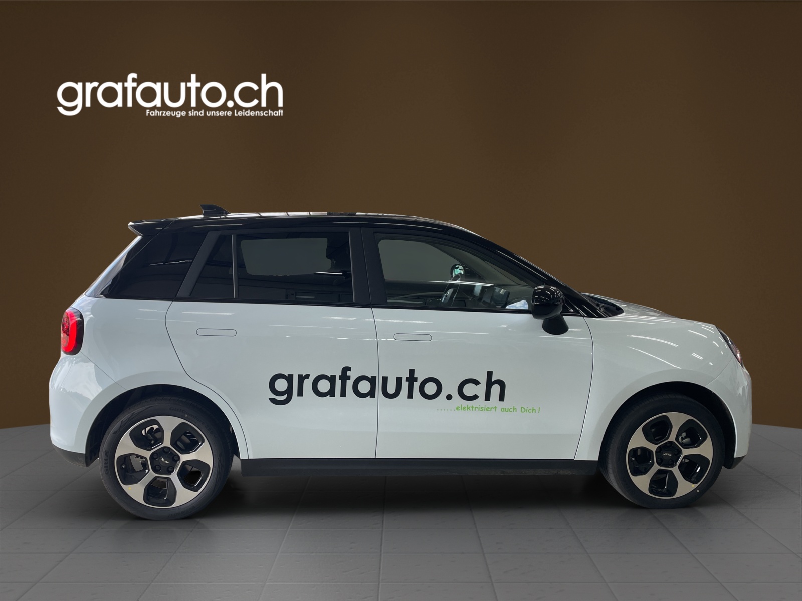 JAC E30X City-image-2
