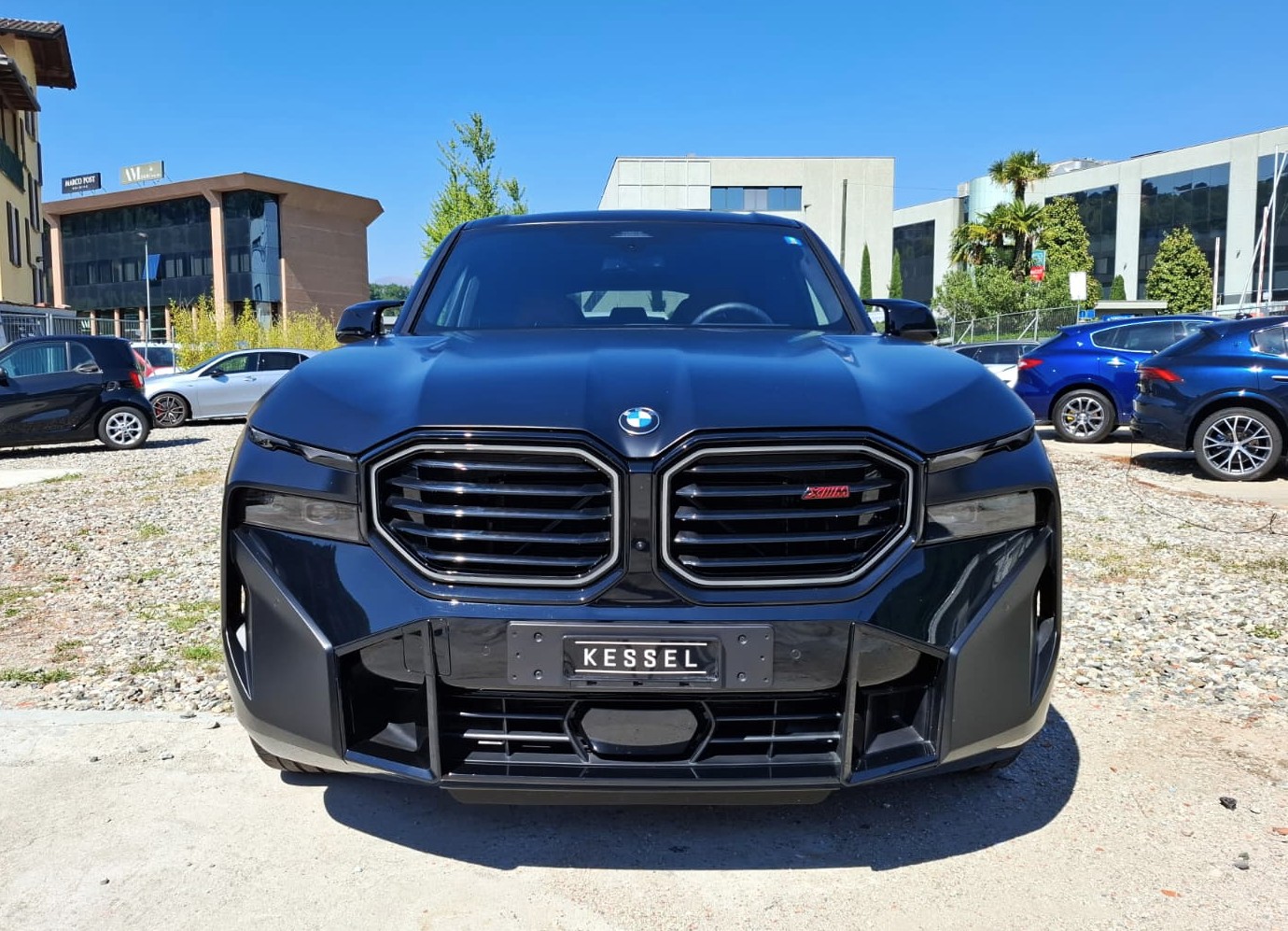 BMW XM xDrive PHEV Steptronic LABEL RED (1 of 500)-image-1