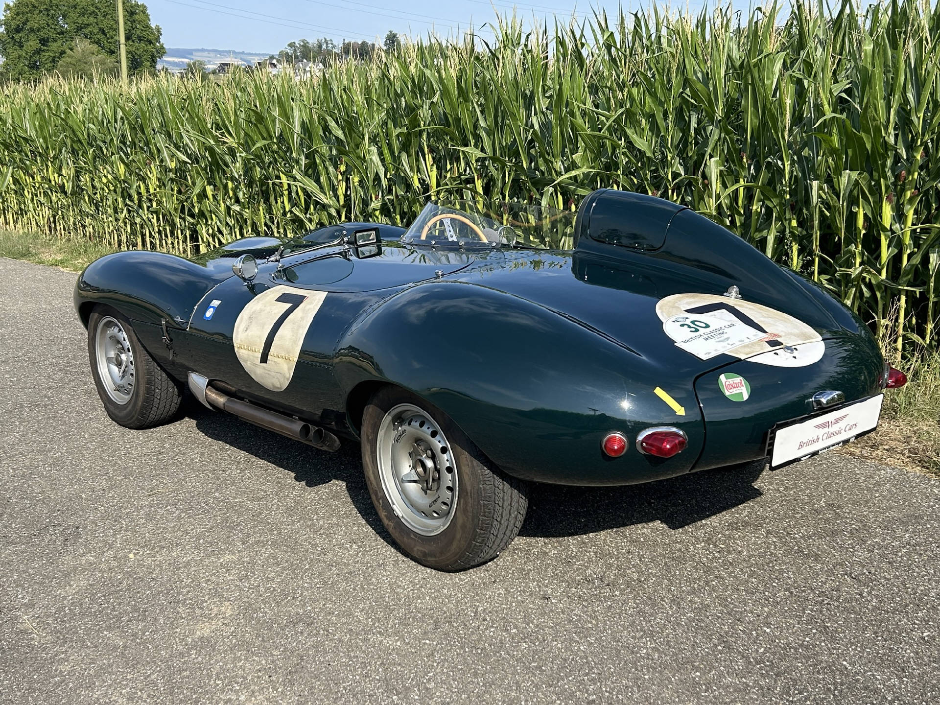 JAGUAR D-Type Replika-image-2