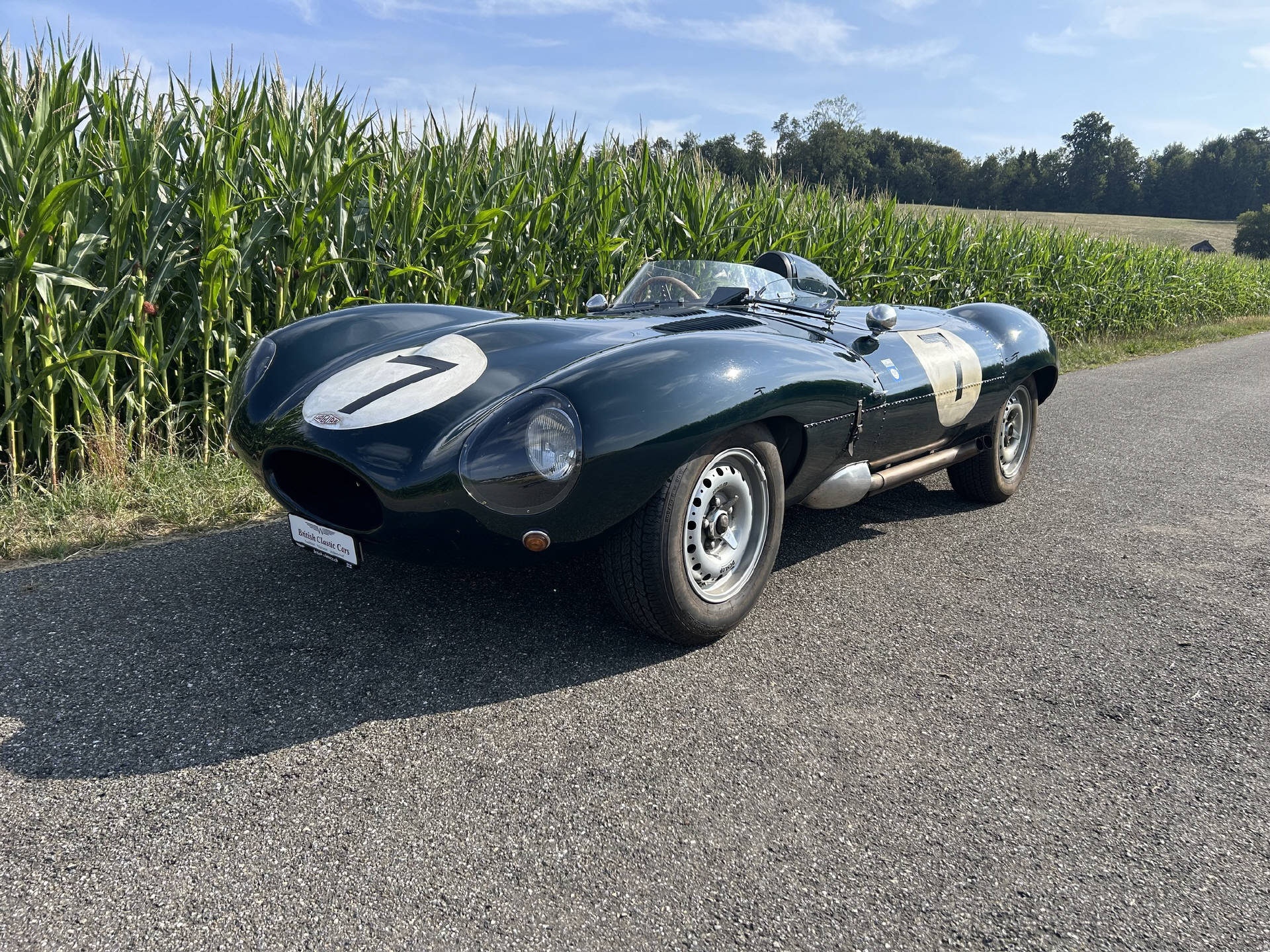 JAGUAR D-Type Replika-image-0