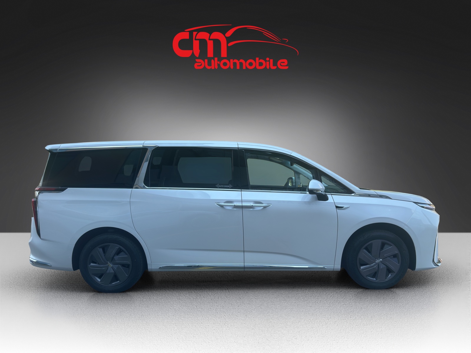 MAXUS Mifa 9 Luxury 90kWh-image-4