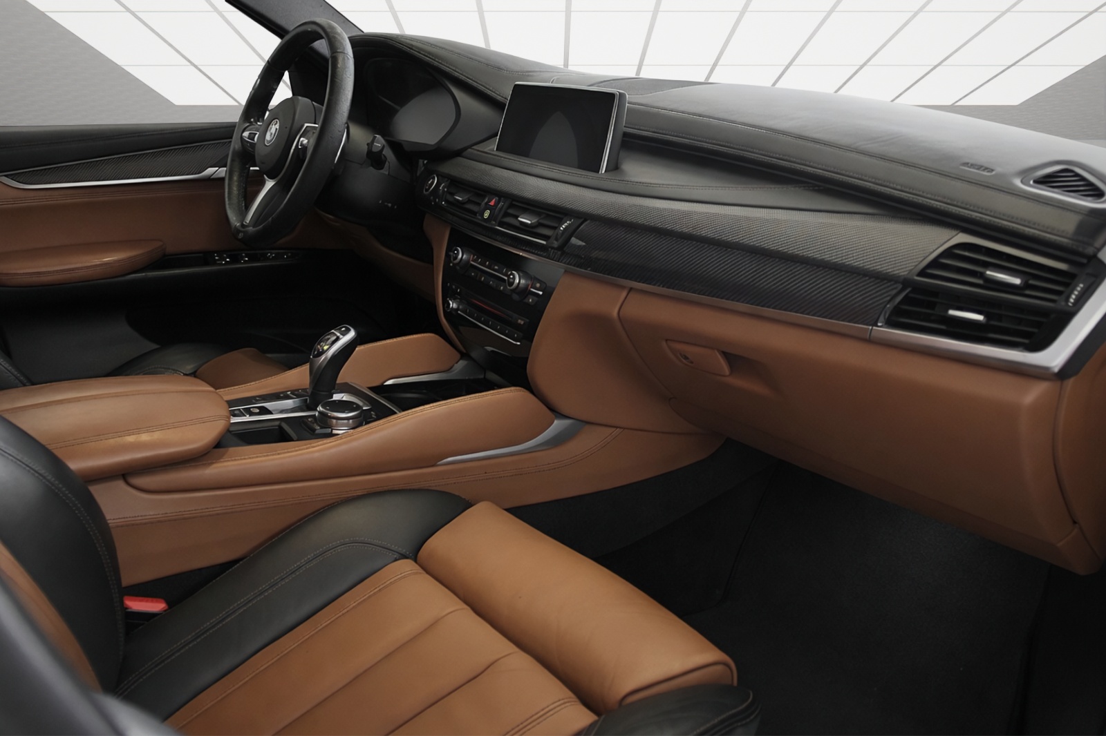 BMW X6 xDrive 40d Steptronic-image-12