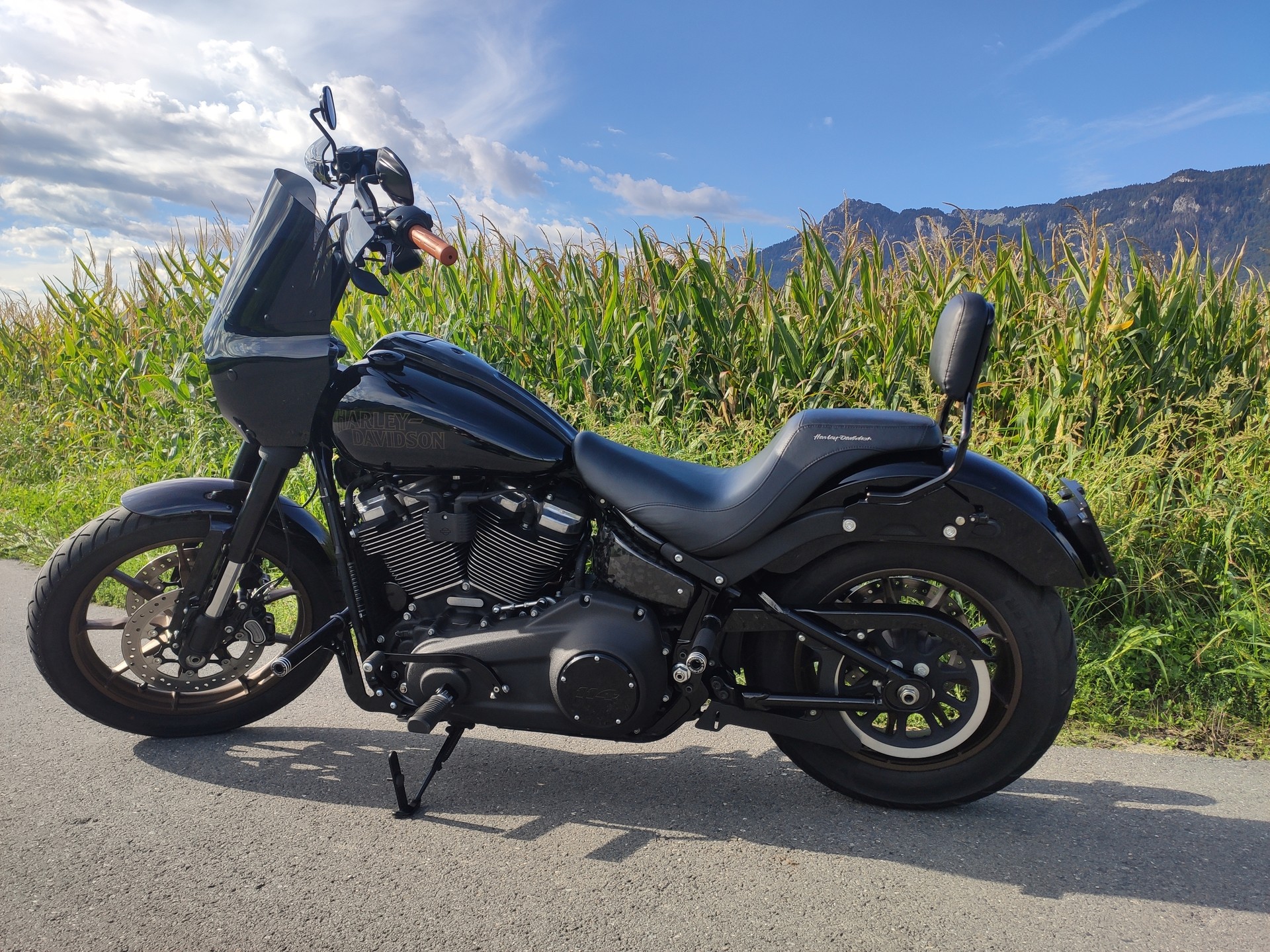 HARLEY-DAVIDSON FXLRS Low Rider S 114 ABS