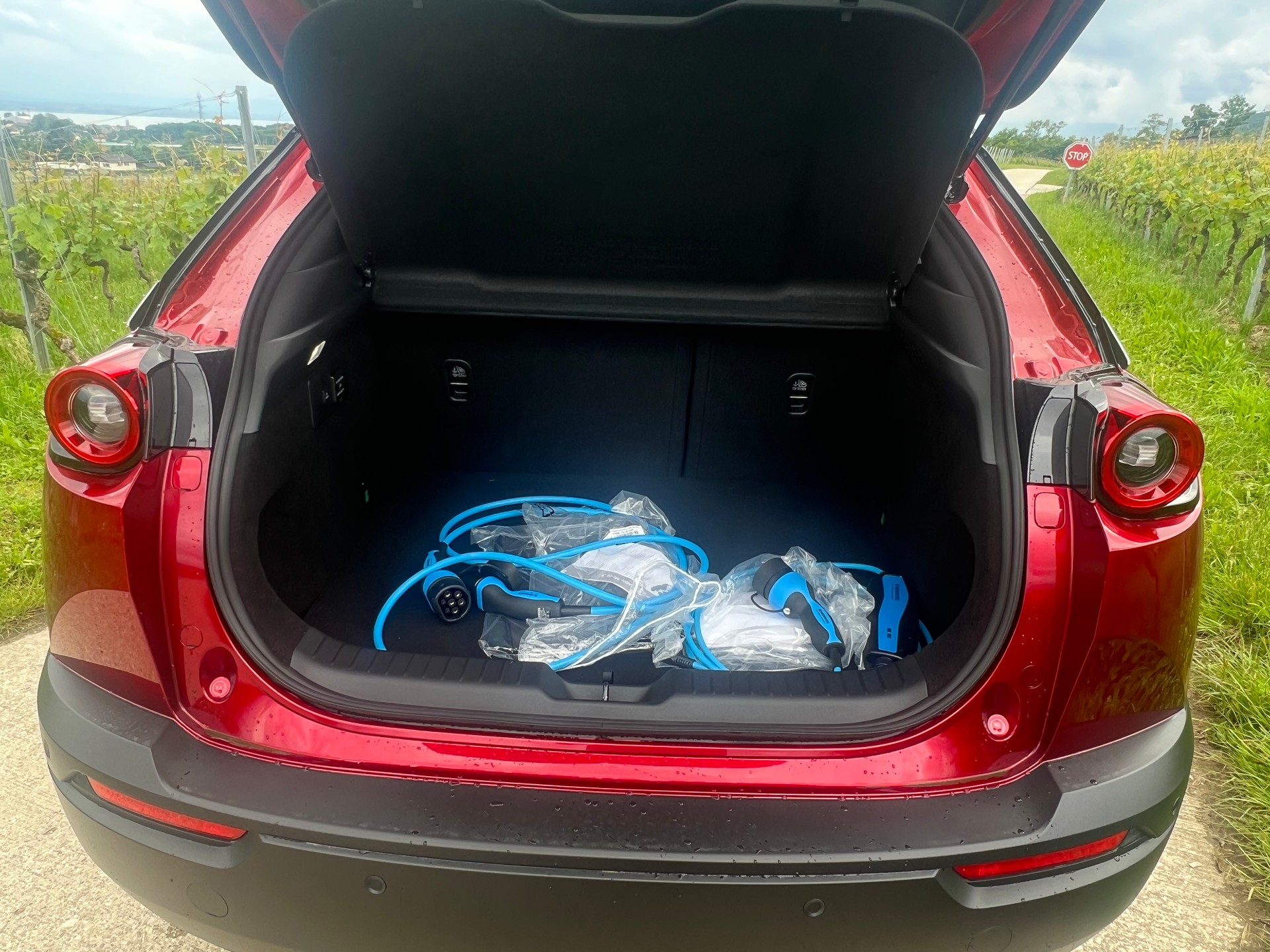 MAZDA MX-30 PHEV e-Skyactiv R-EV 170 Advantage-image-2