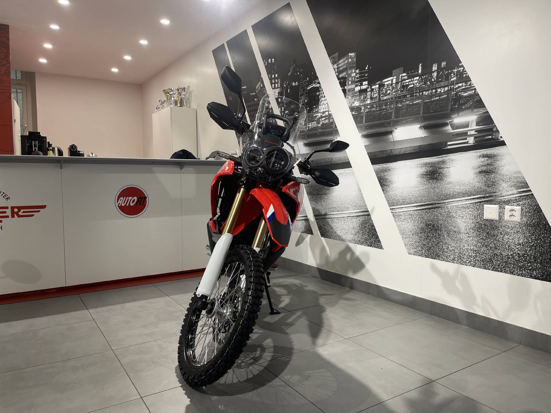 HONDA CRF 300 Rally ABS | Adventure Bike | Offroad | Garantie-image-10