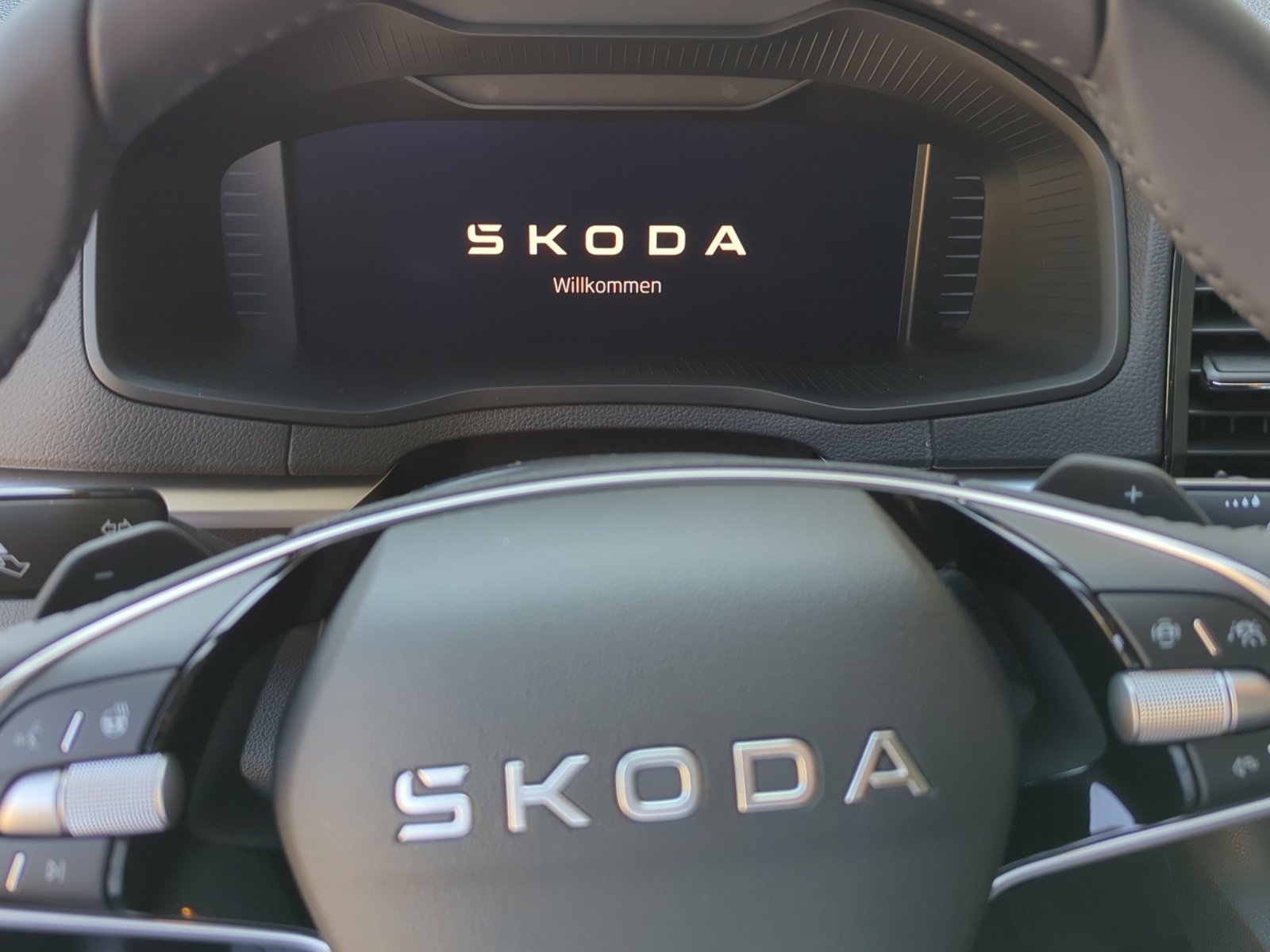 SKODA Karoq 1.5 TSI Selection DSG-image-6