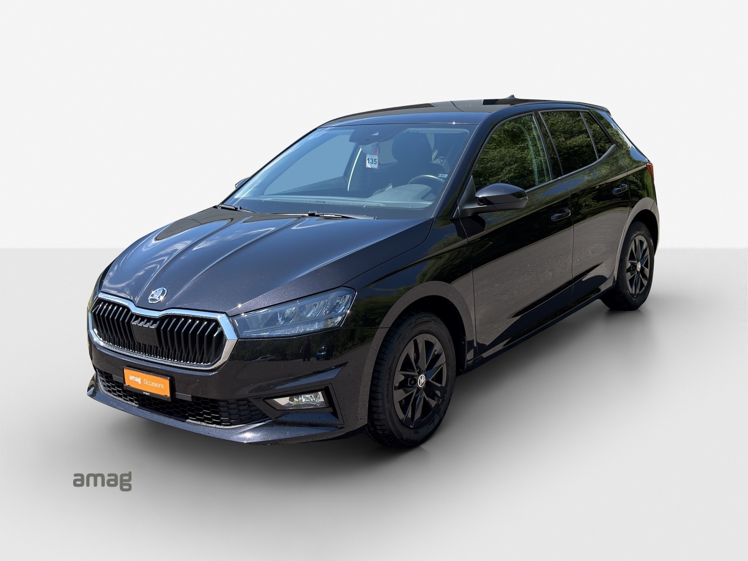 SKODA Fabia 1.0 TSI Ambition-image-0
