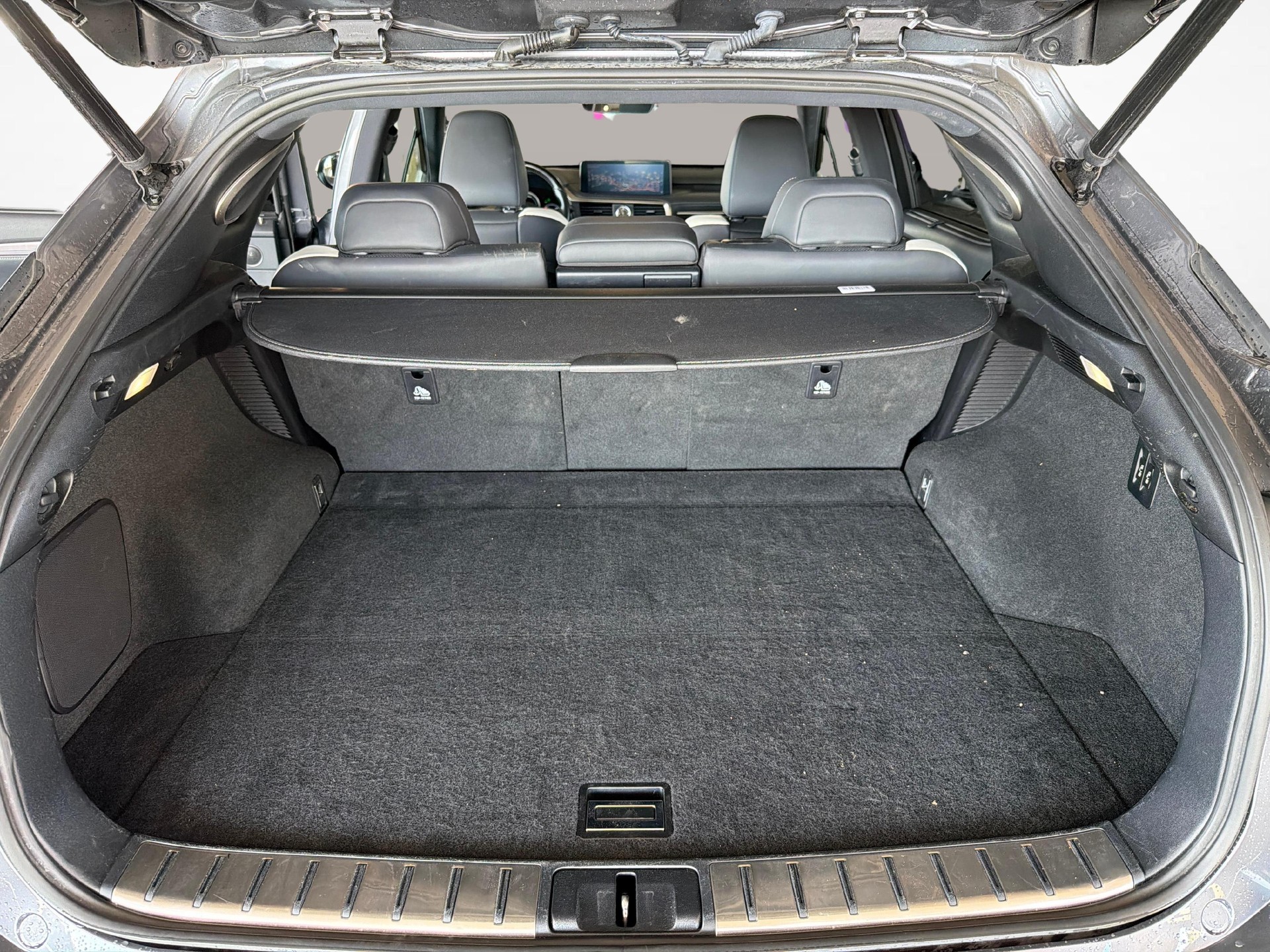 LEXUS RX 450h F-Sport-image-10