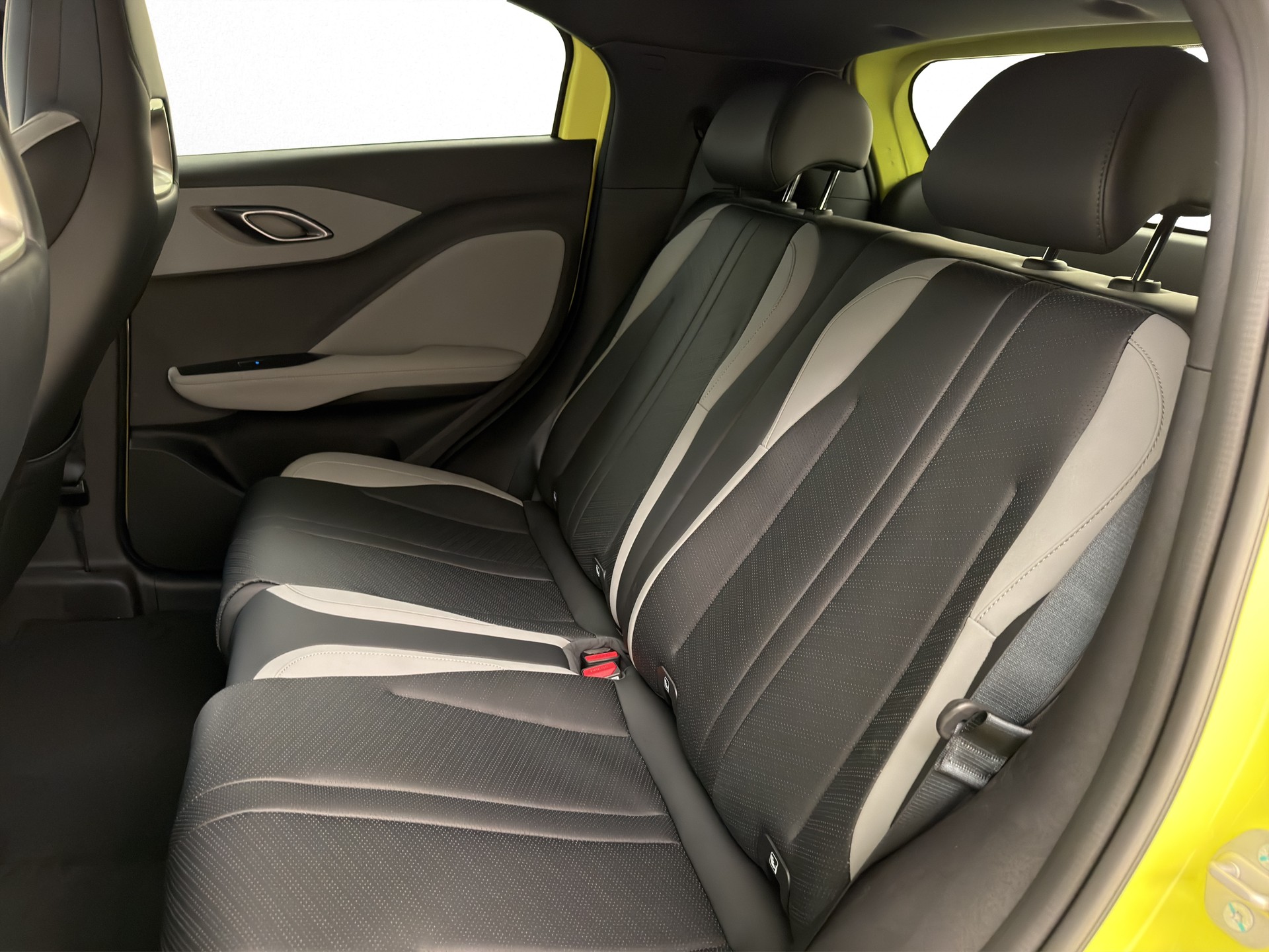 BYD Dolphin Surf Comfort-image-11