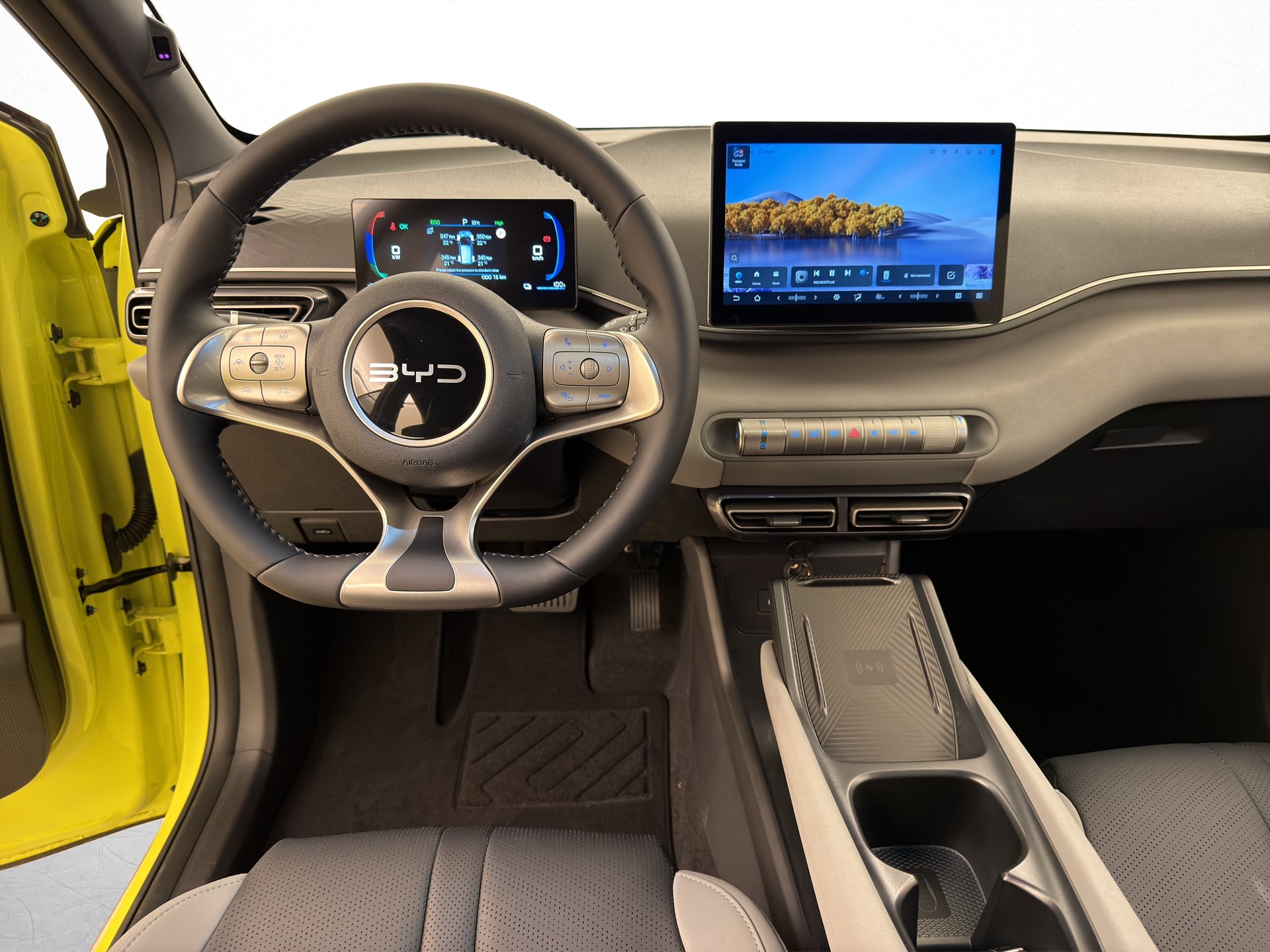 BYD Dolphin Surf Comfort-image-8