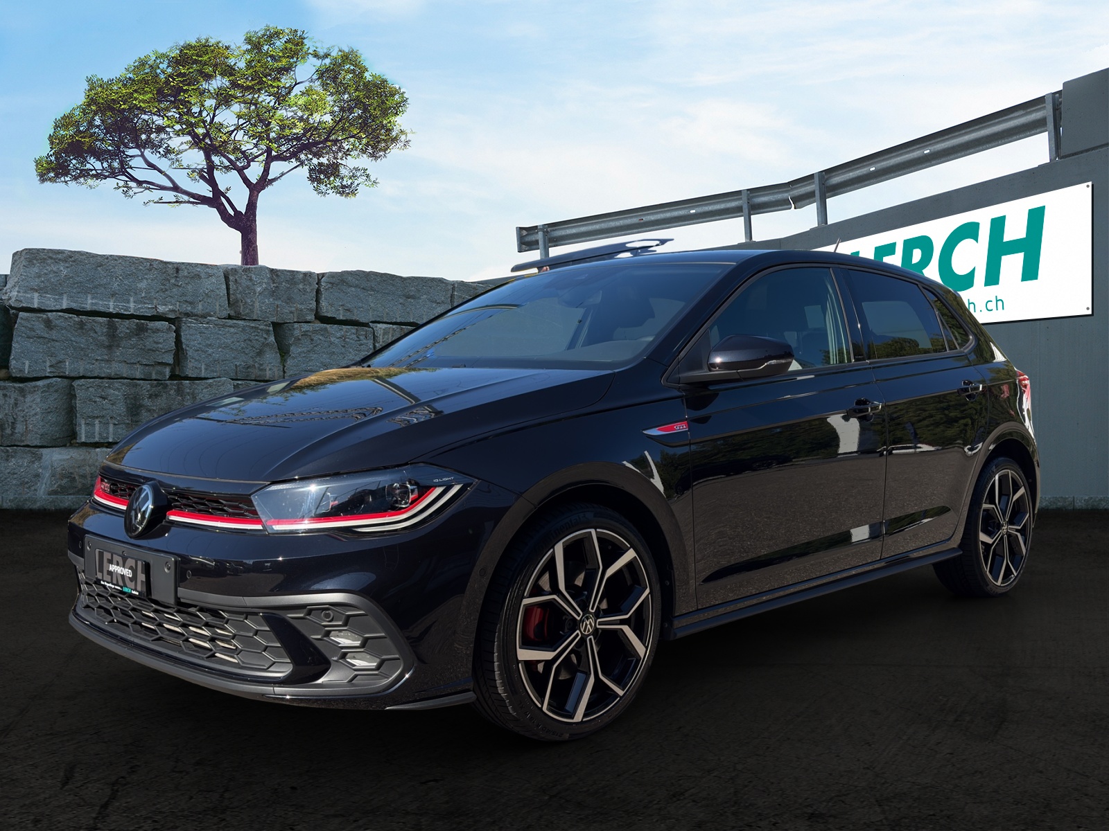 VW Polo 2.0 TSI GTI DSG