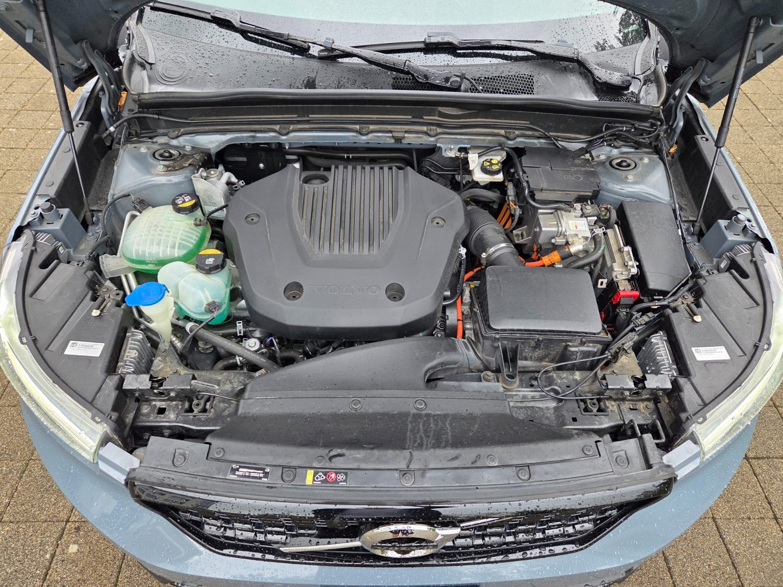 VOLVO XC40 T5 TwE R-Design DCT-image-11