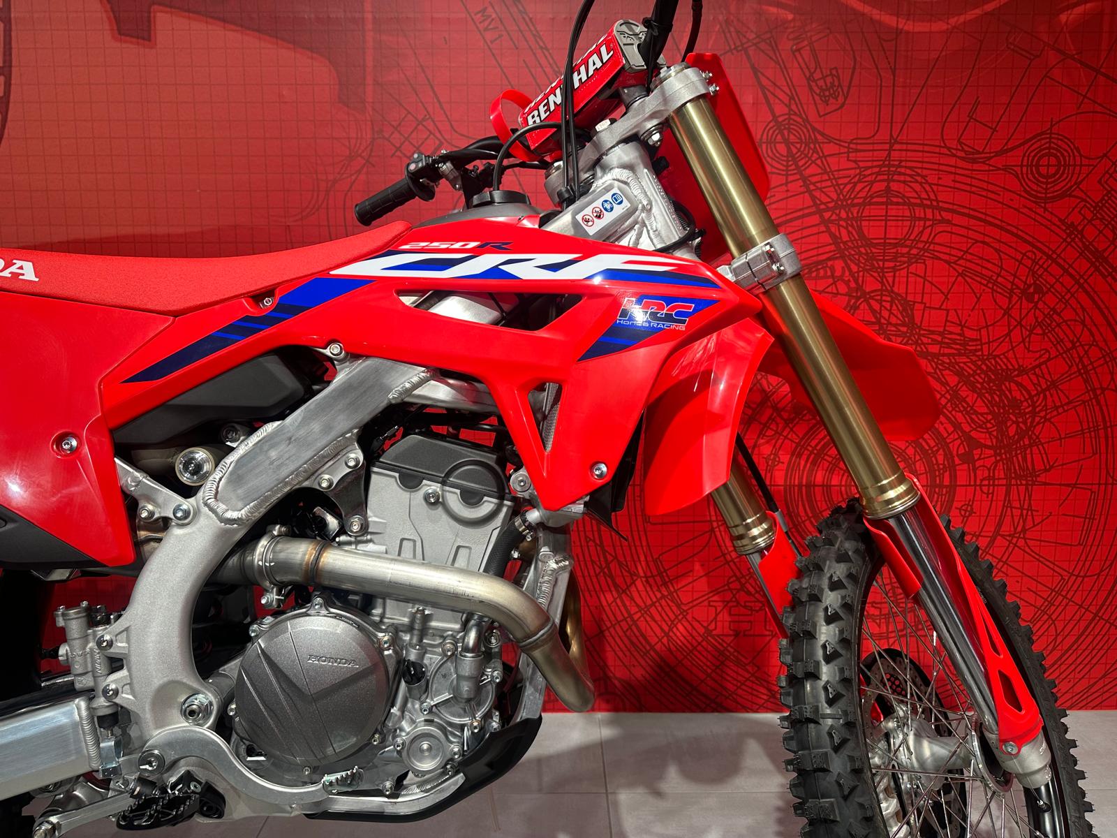 HONDA CRF250 NEU 2024-image-9