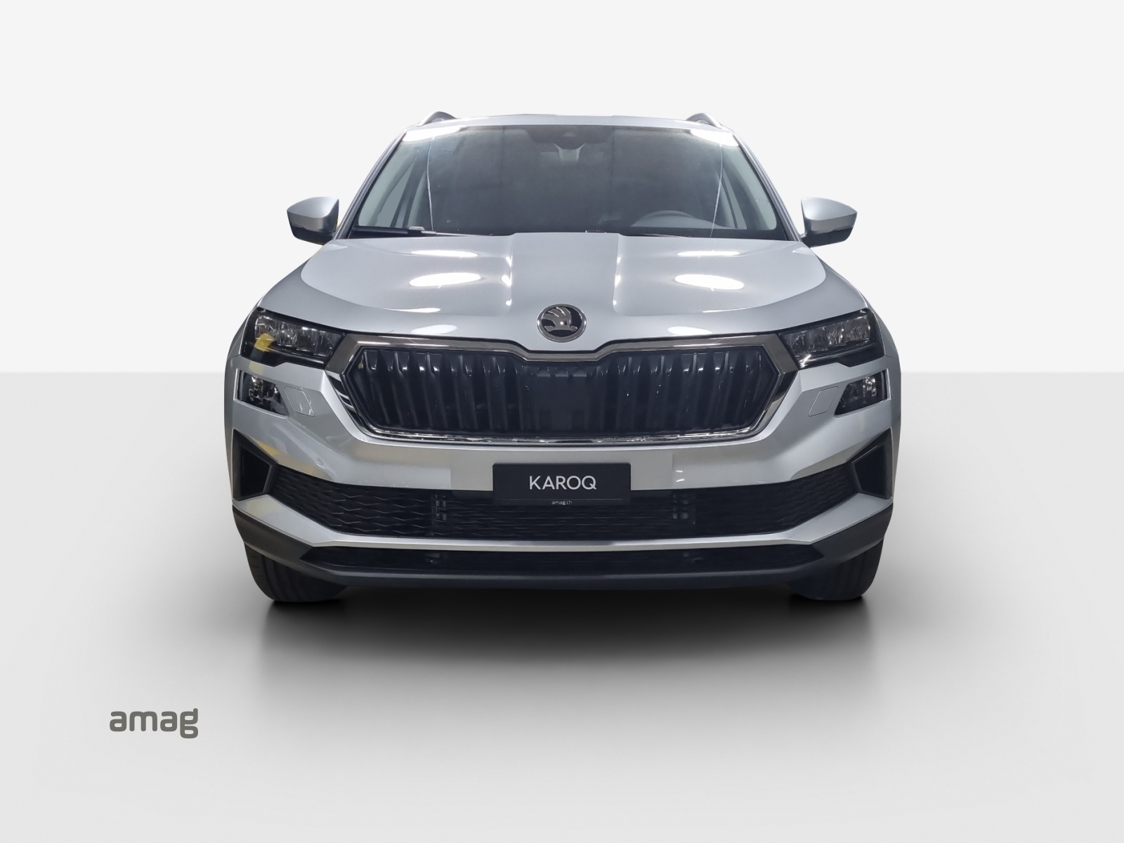 SKODA Karoq 1.5 TSI Selection DSG-image-5