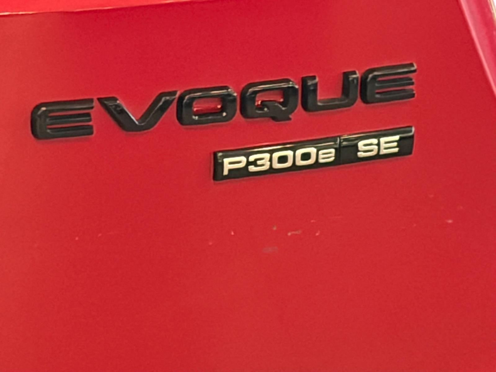 LAND ROVER Range Rover Evoque P 300e SE AT8-image-28