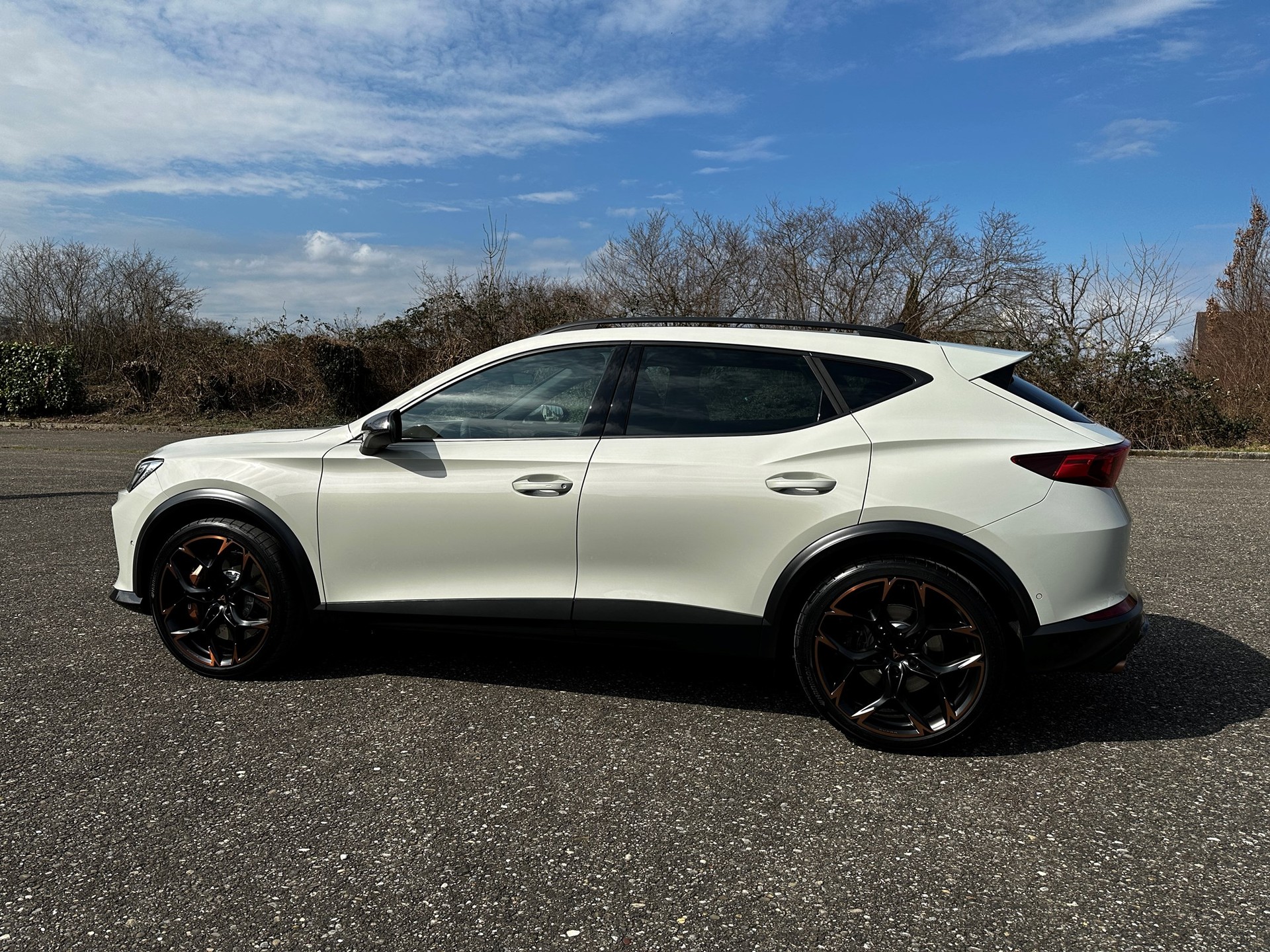 CUPRA Formentor 2.5TSI VZ5 Taiga Grey 4Drive DSG-image-5