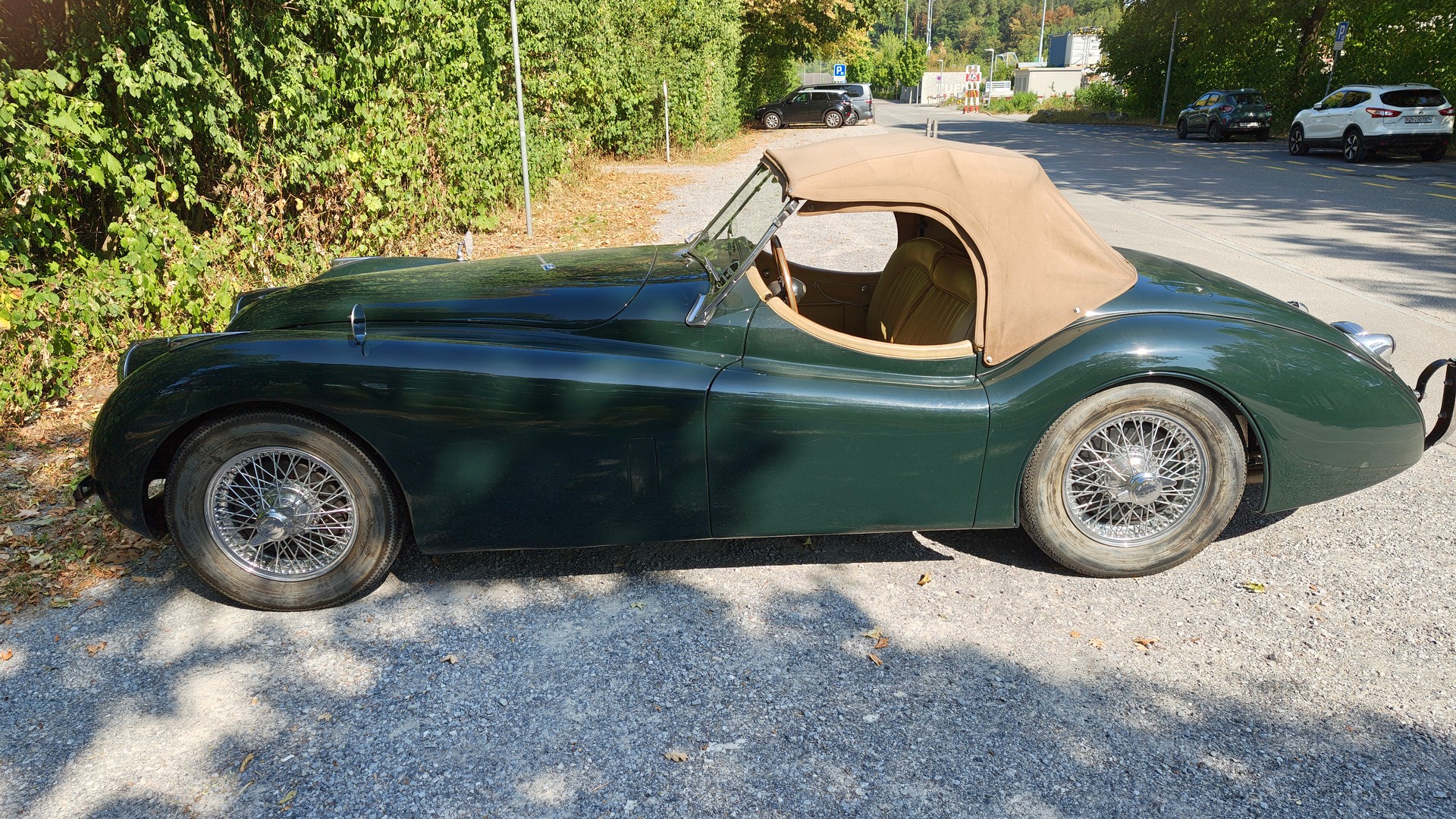 JAGUAR OTS-image-2