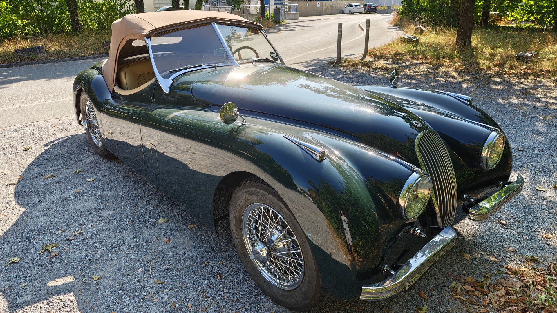JAGUAR OTS-image-1