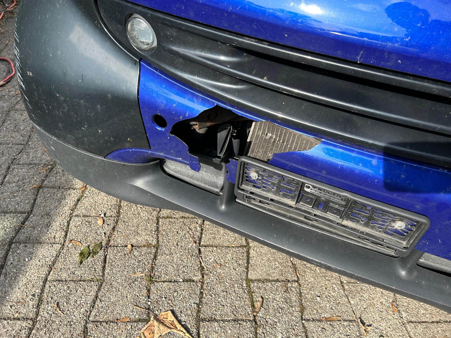 SMART fortwo pure cdi-image-8