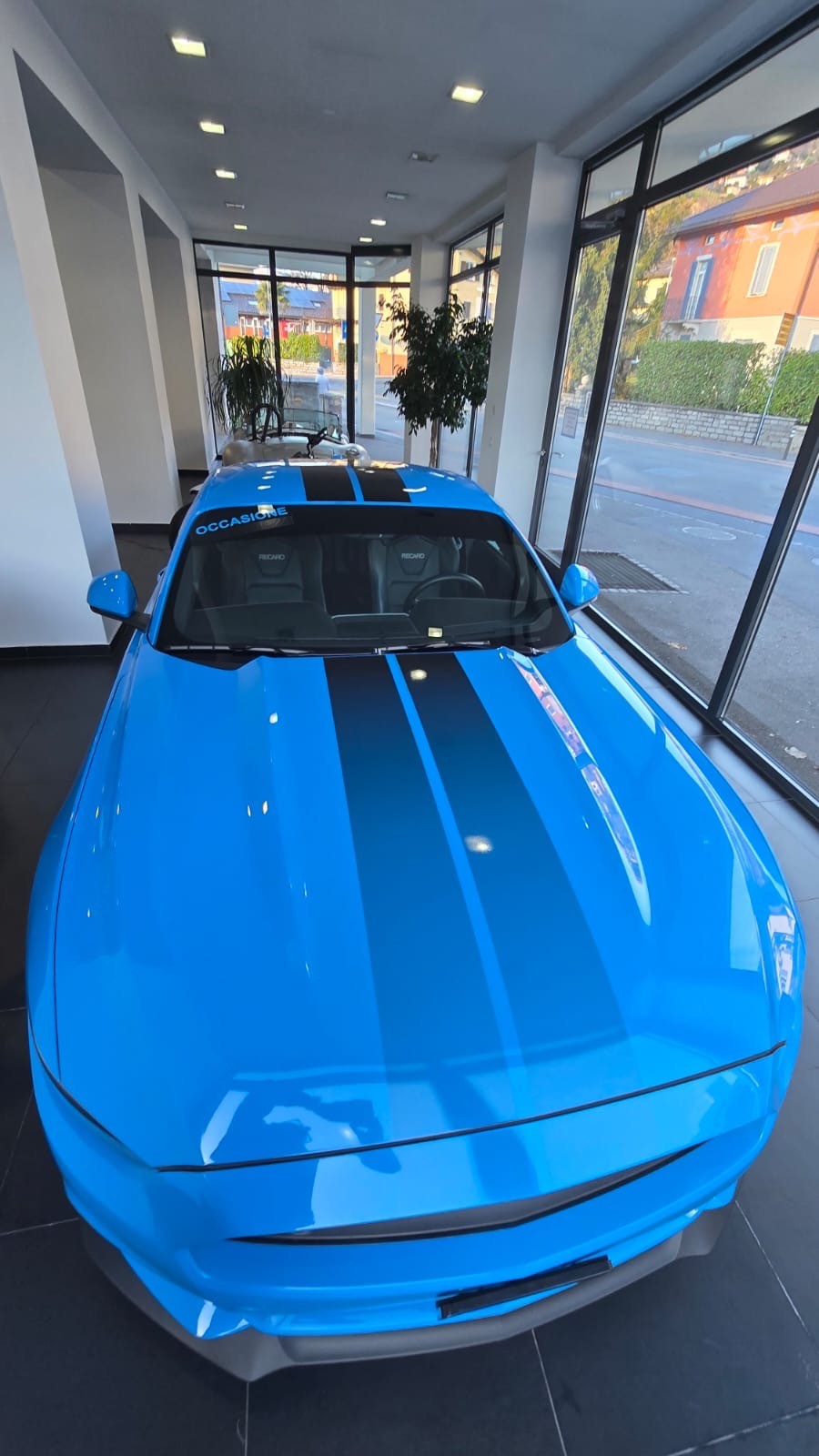 FORD Mustang Fastback 5.0 V8 GT Blue Edition-image-12