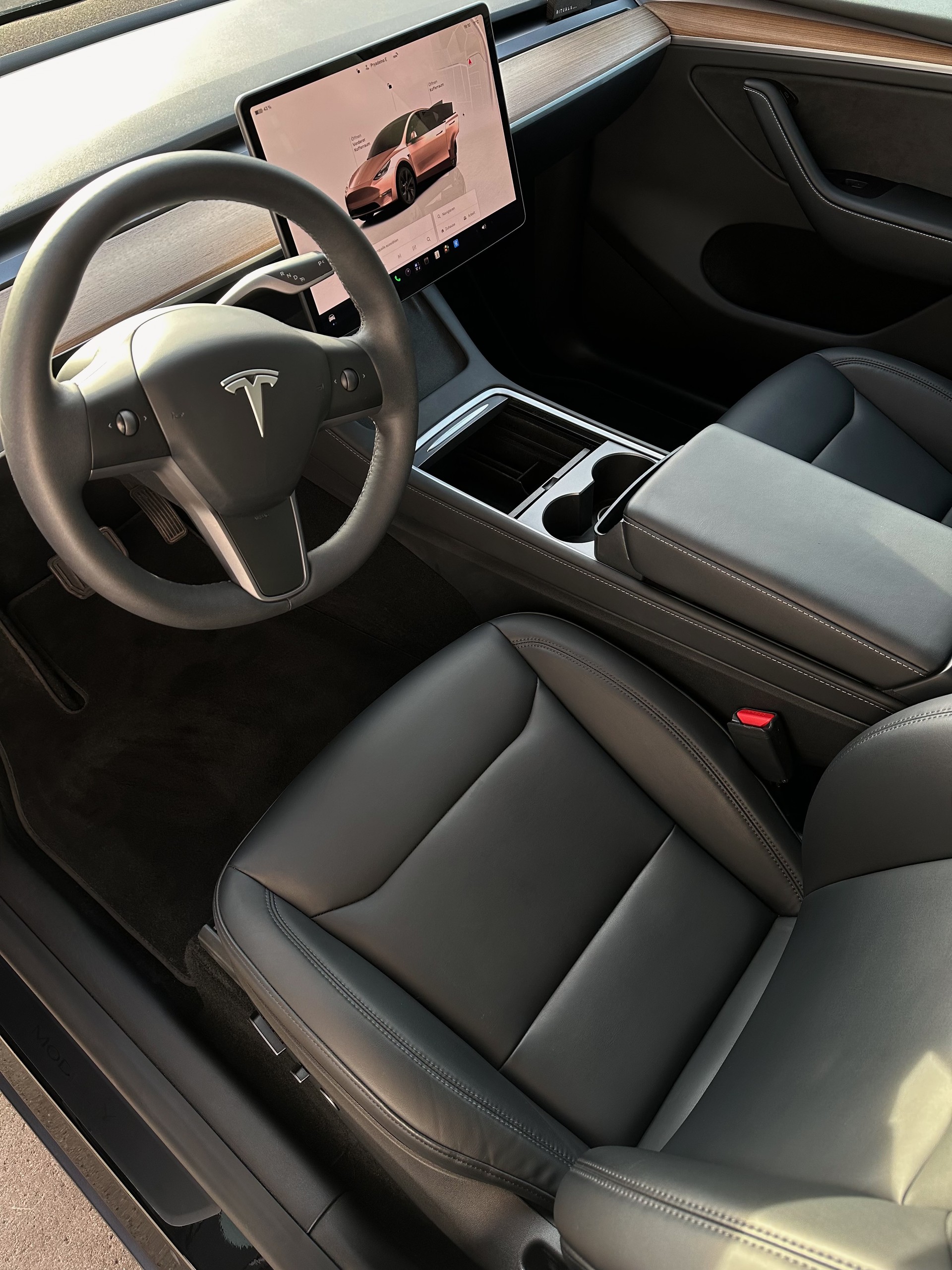 TESLA Long Range D-image-2