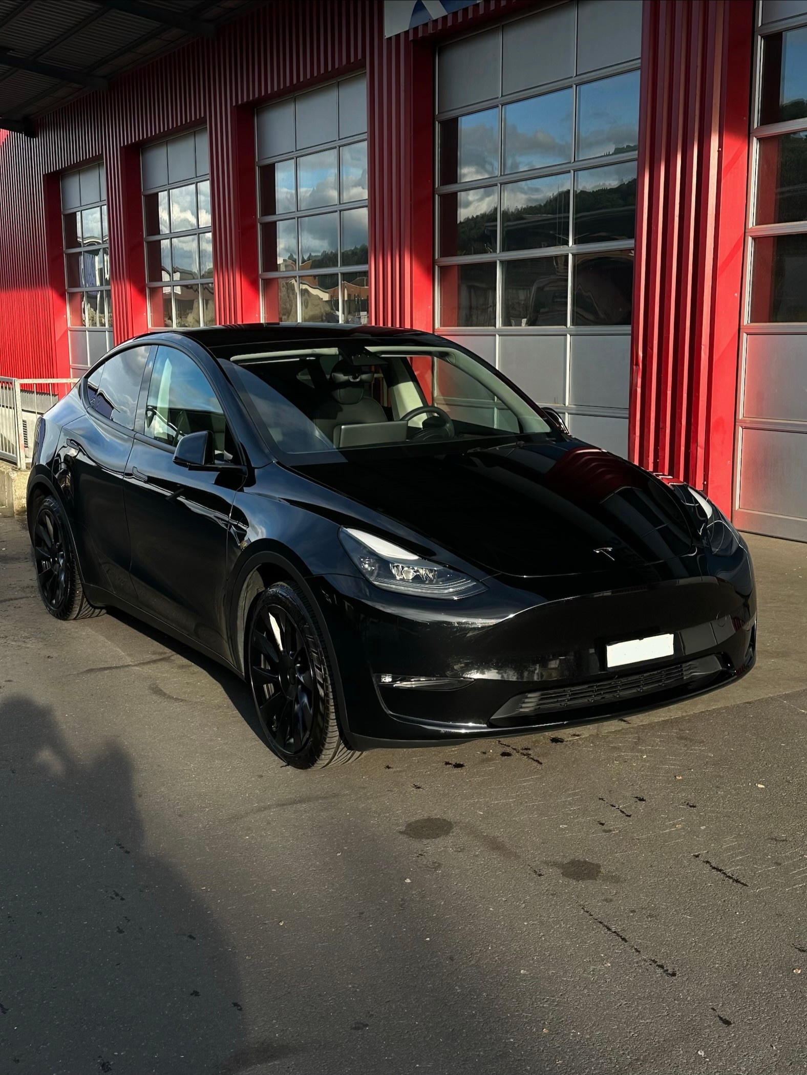 TESLA Long Range D-image-0
