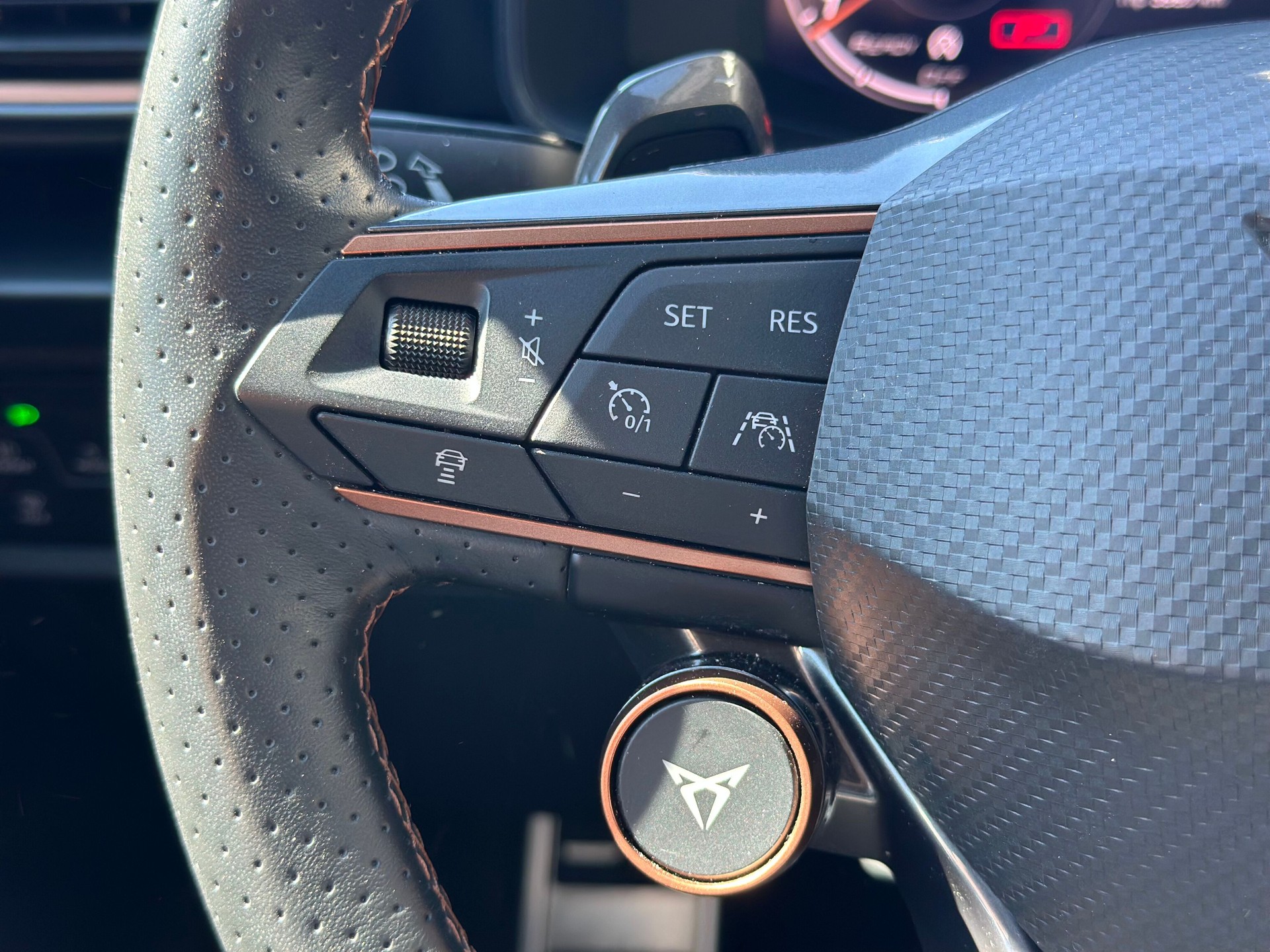 CUPRA LEON VZ 2.0 TSI DSG-image-13