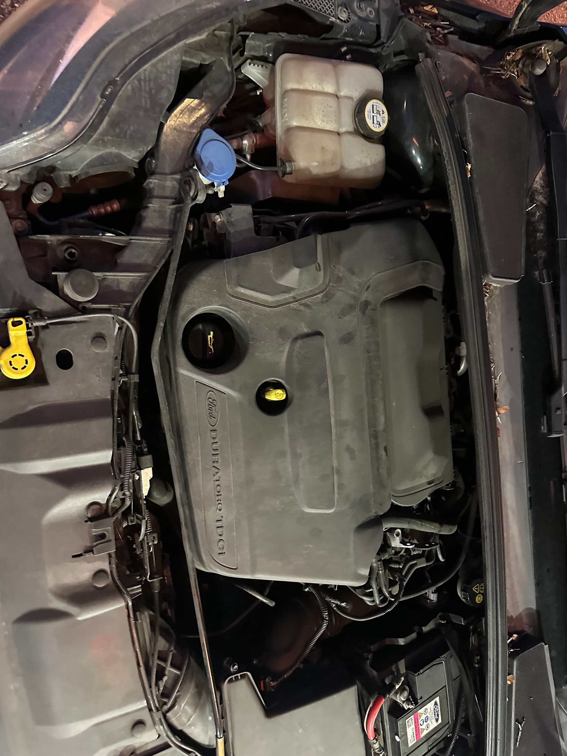 FORD Focus 2.0 TDCi Carving PowerShift-image-5