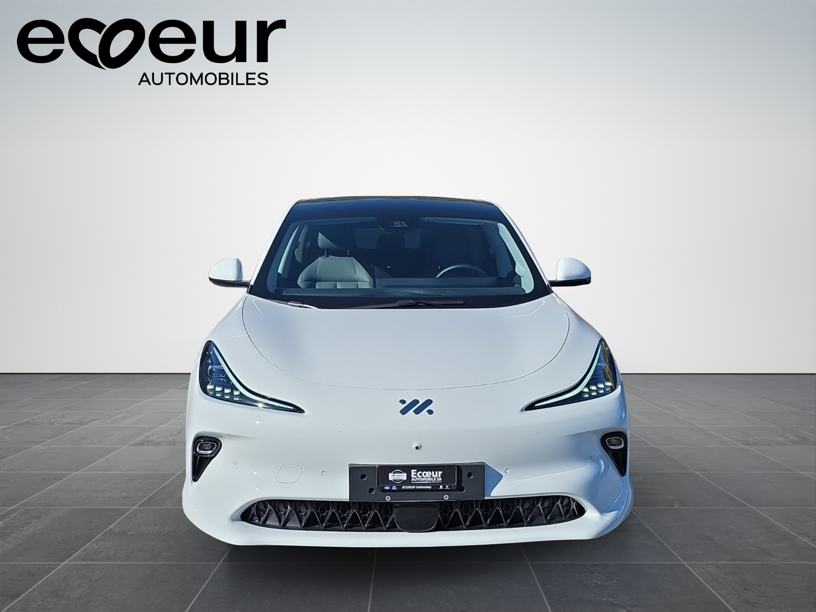 MG IM6 100 kWh Performance 21 4WD-image-8