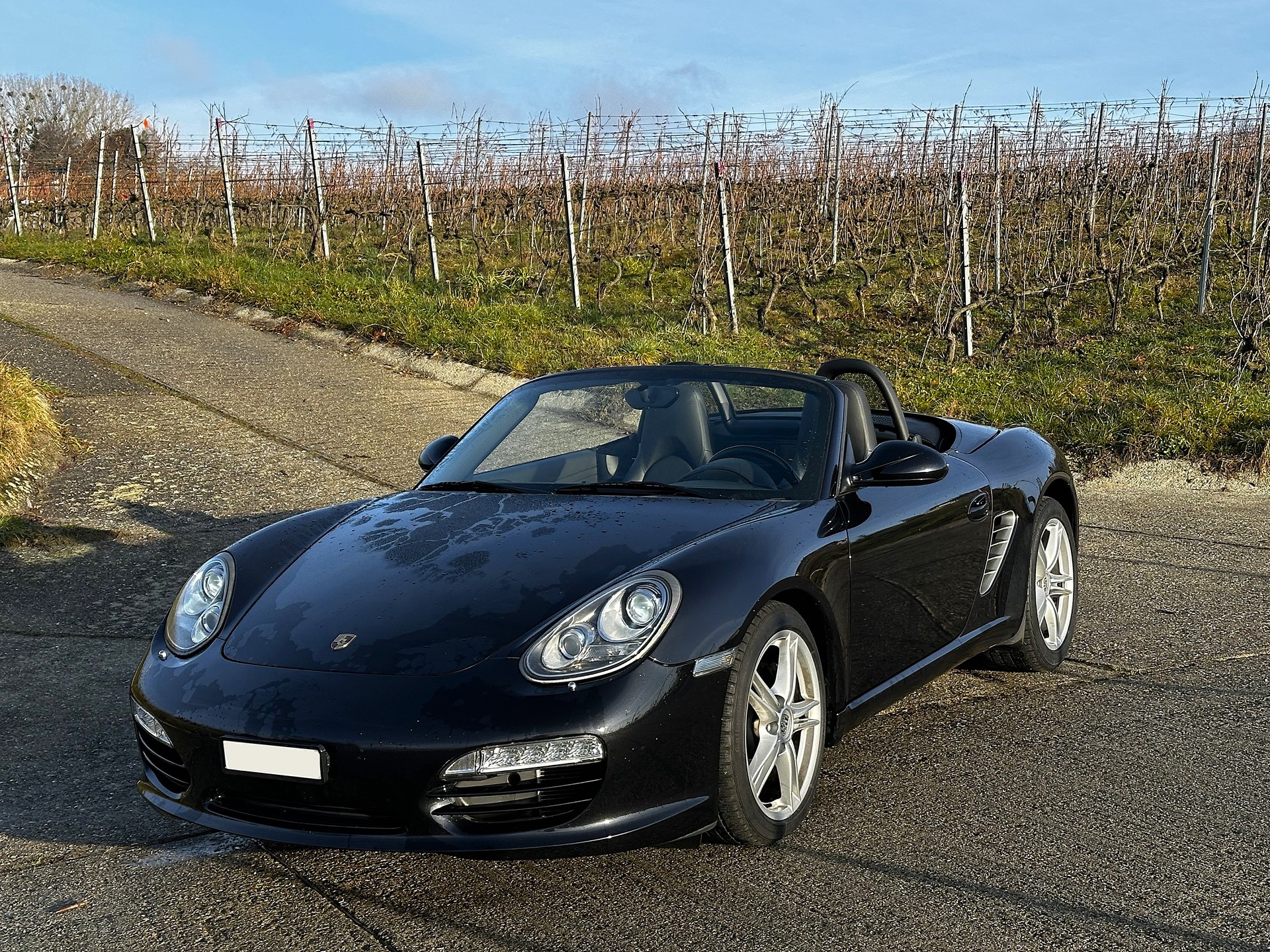PORSCHE Boxster 2.9-image-2