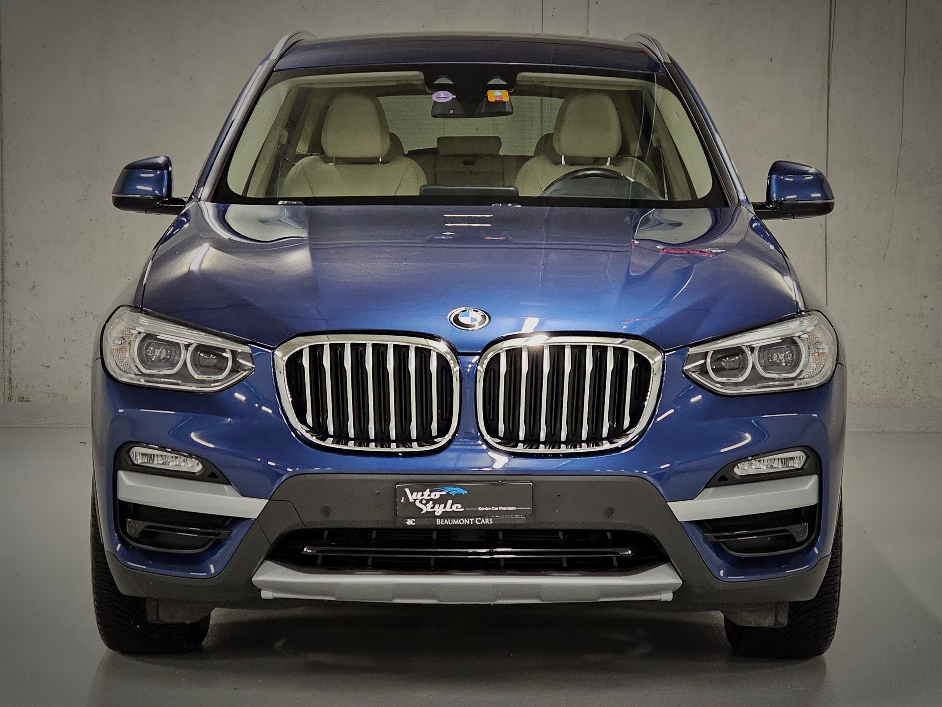 BMW X3 xDrive 30i xLine Steptronic-showroom-element-1