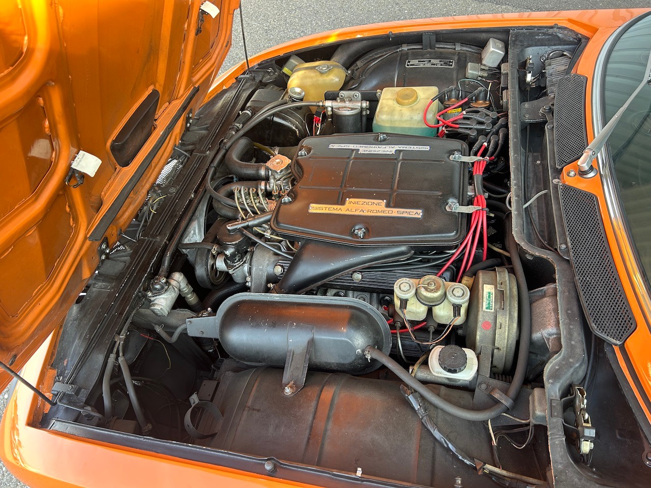 ALFA ROMEO V8-image-8