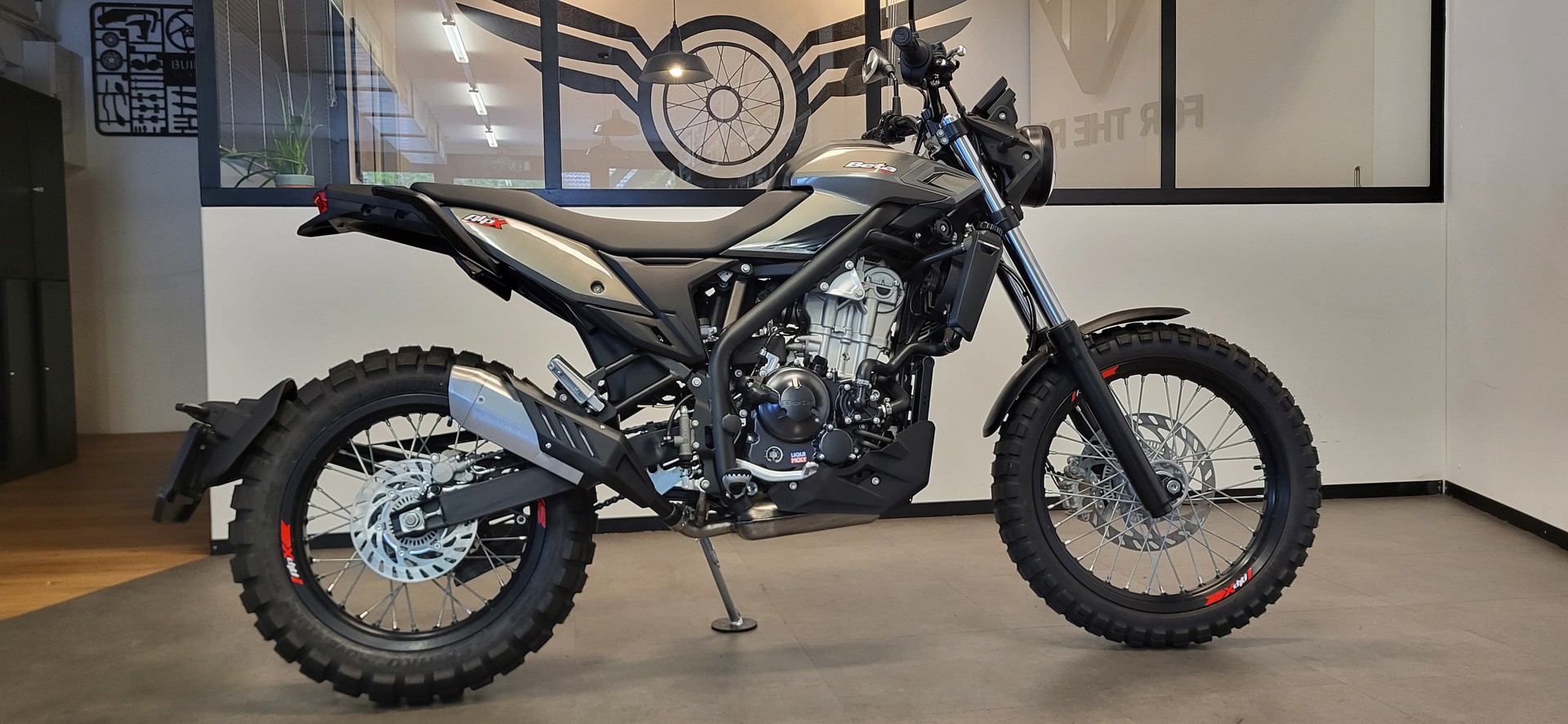 BETA ALP X-image-4