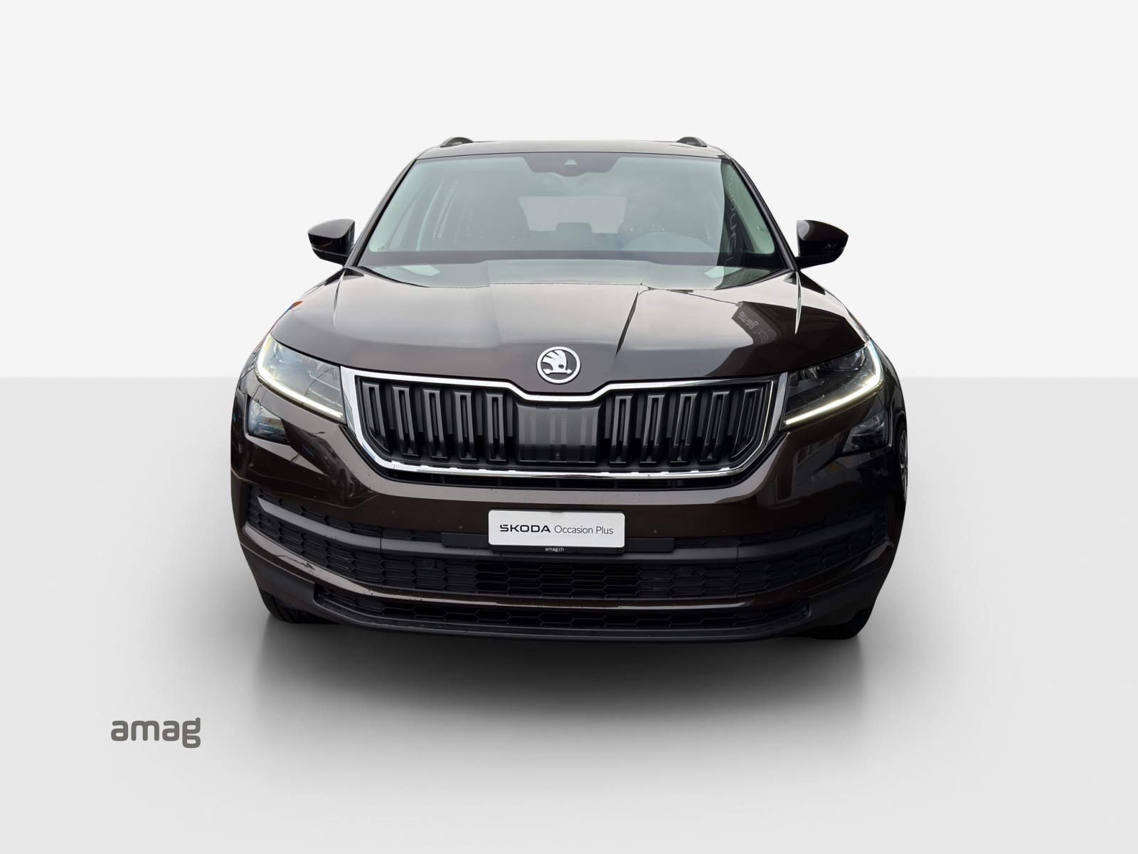 SKODA Kodiaq 2.0 TSI Ambition 4x4-image-6