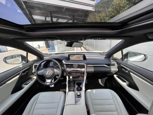 LEXUS RX 450h Diamond F SPORT-image-5