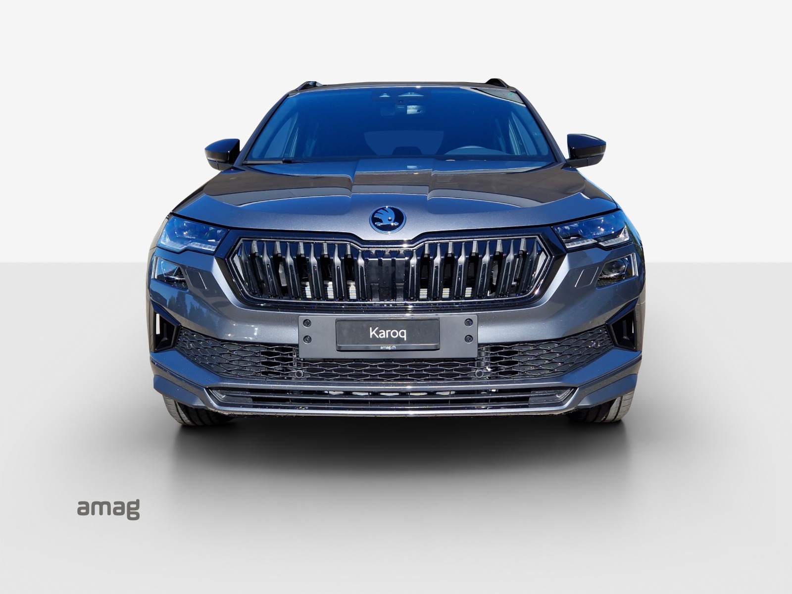SKODA Karoq 1.5 TSI SportLine DSG-image-6