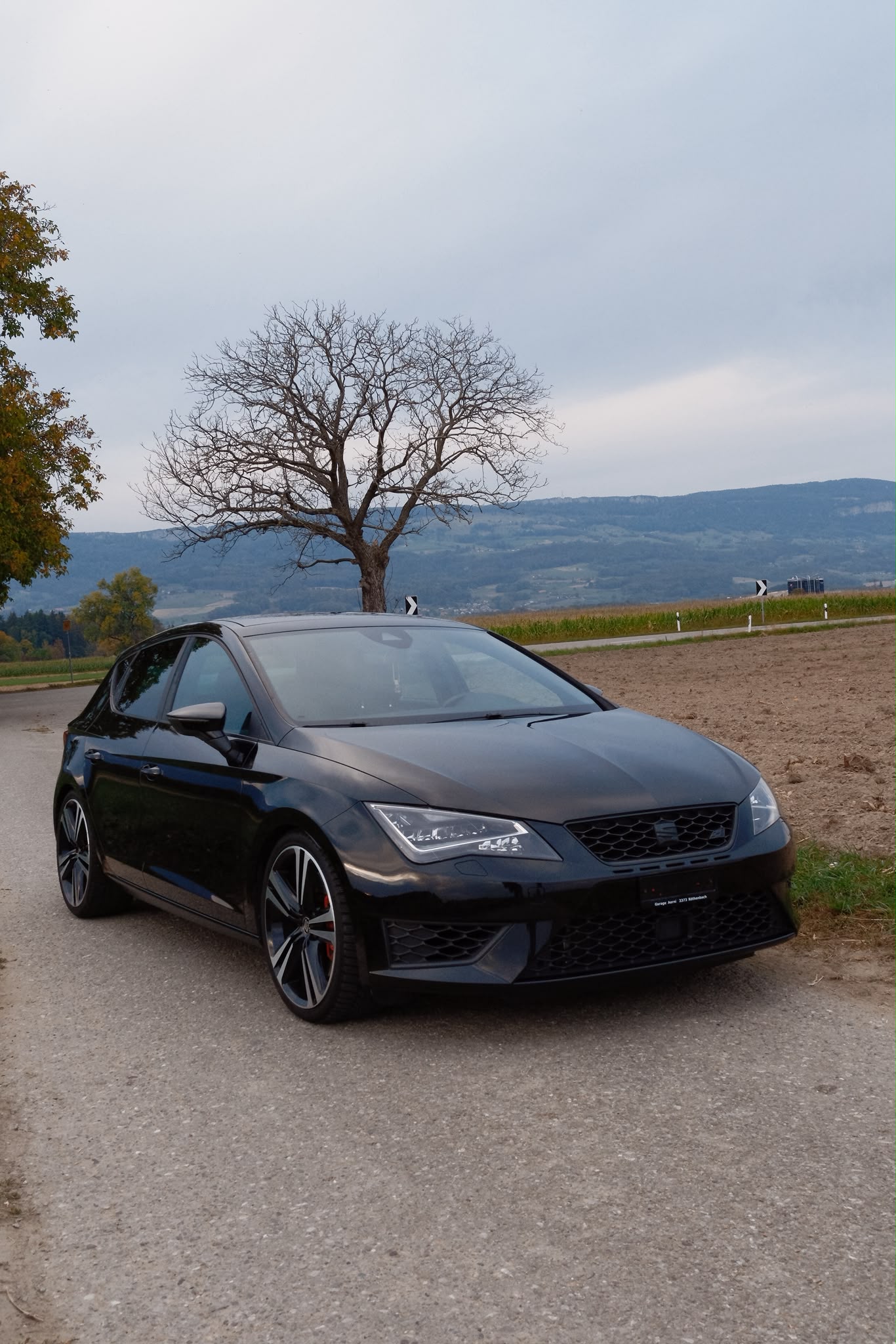 SEAT 2.0 TSI 290 Cupra DSG-image-0