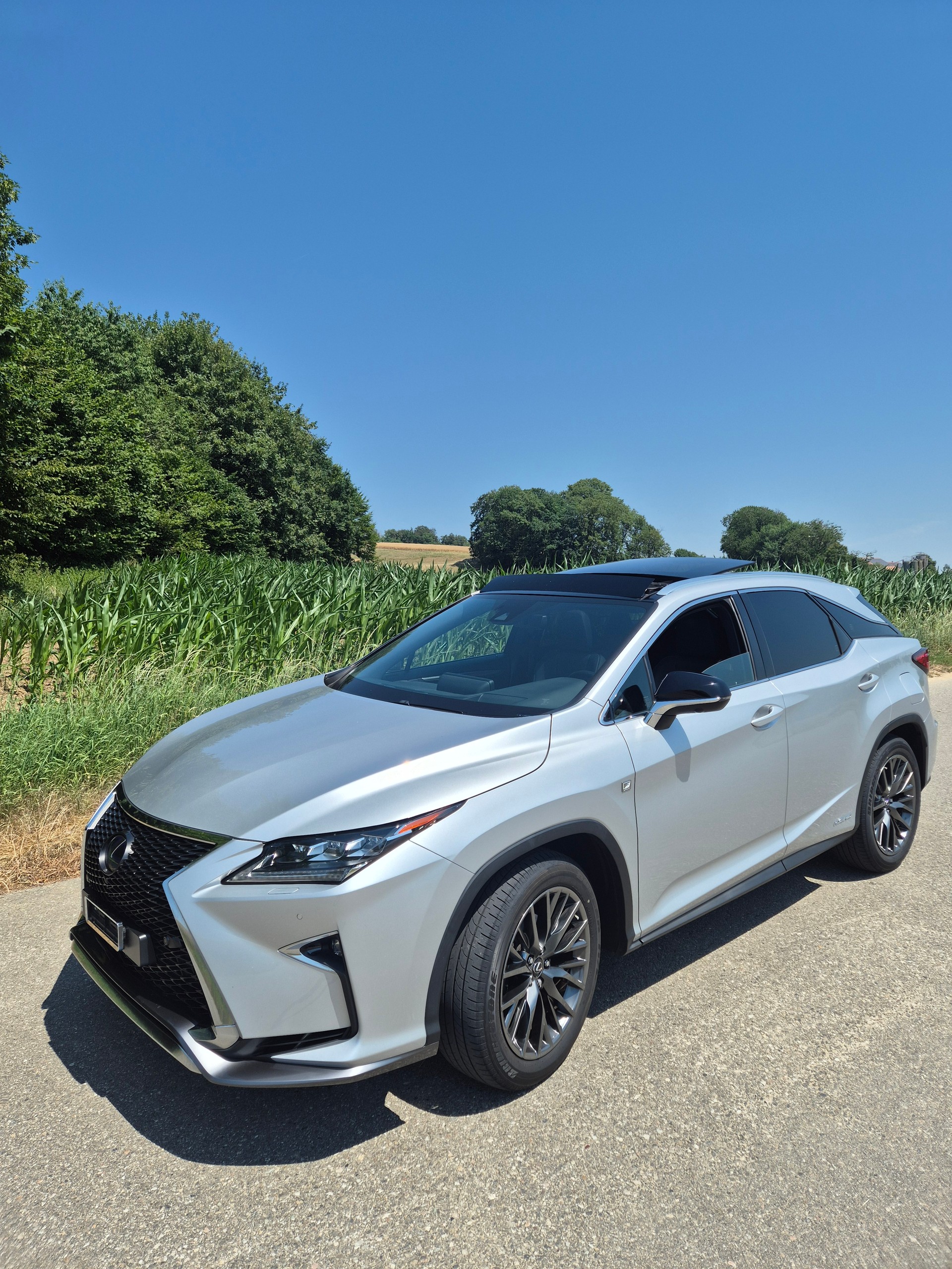 LEXUS 450h Diamond F-Sport-image-1