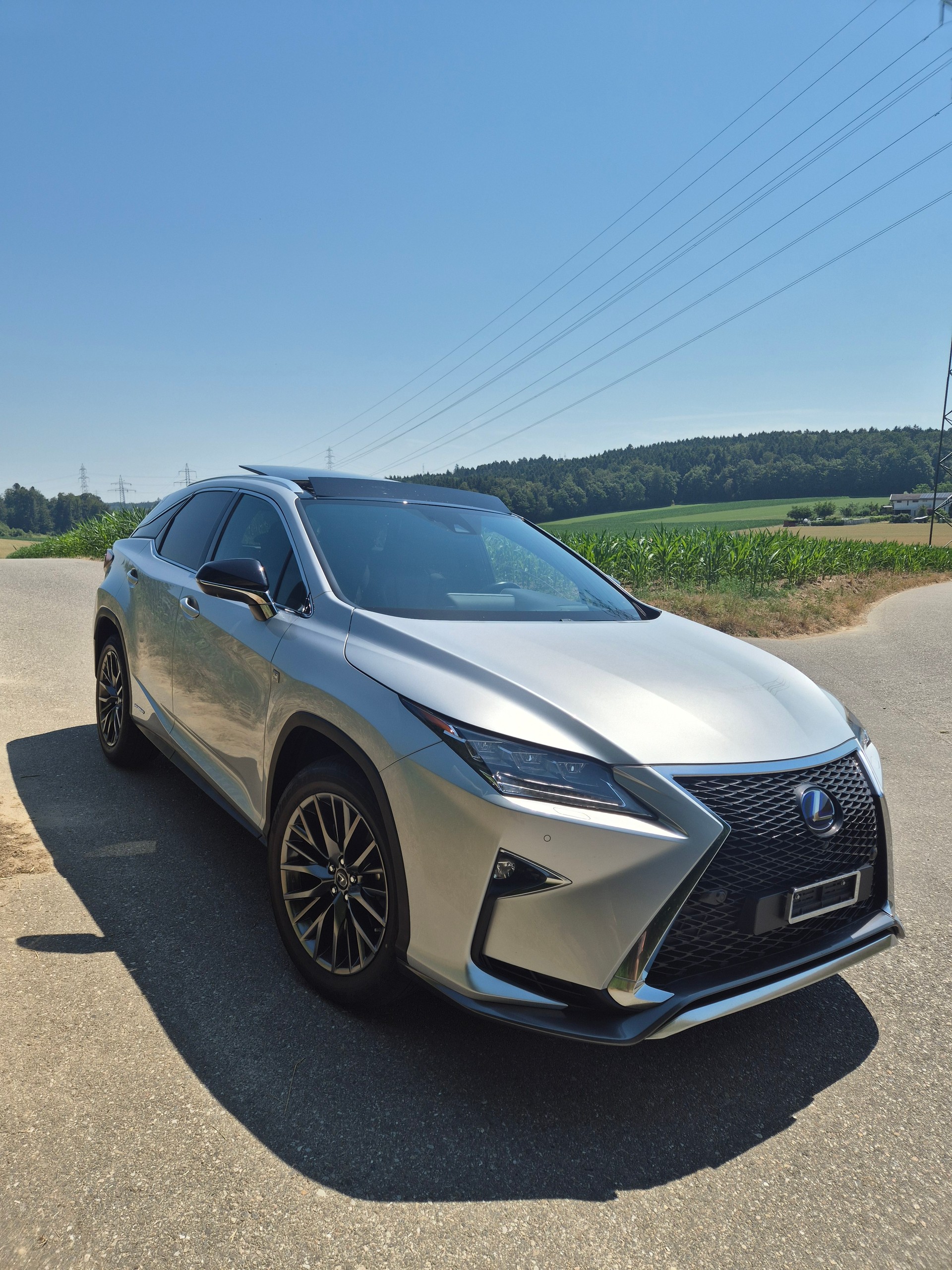 LEXUS 450h Diamond F-Sport-image-2