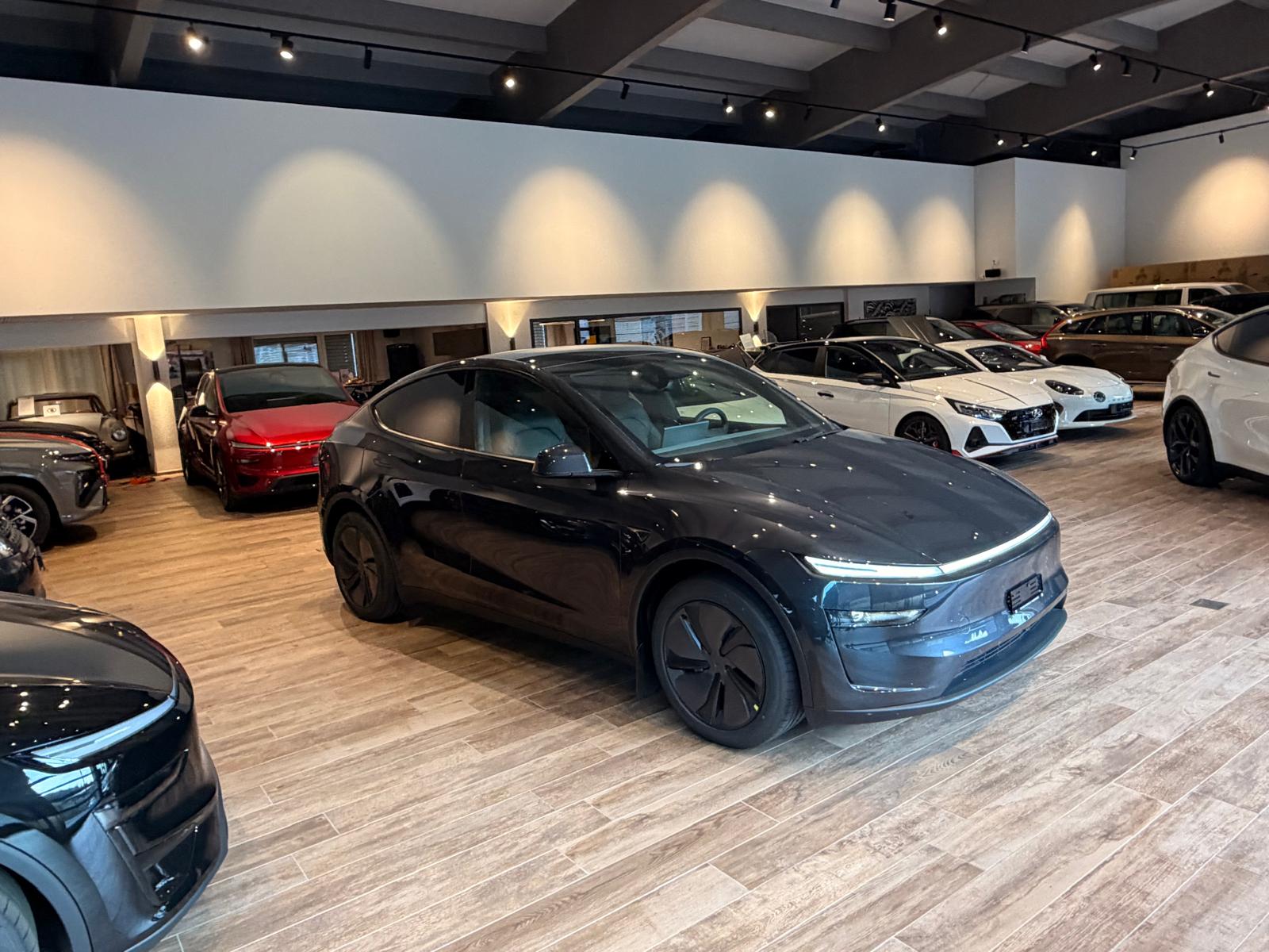 TESLA Model Y Long Range Premium AWDđ„8-fachđ„-image-9