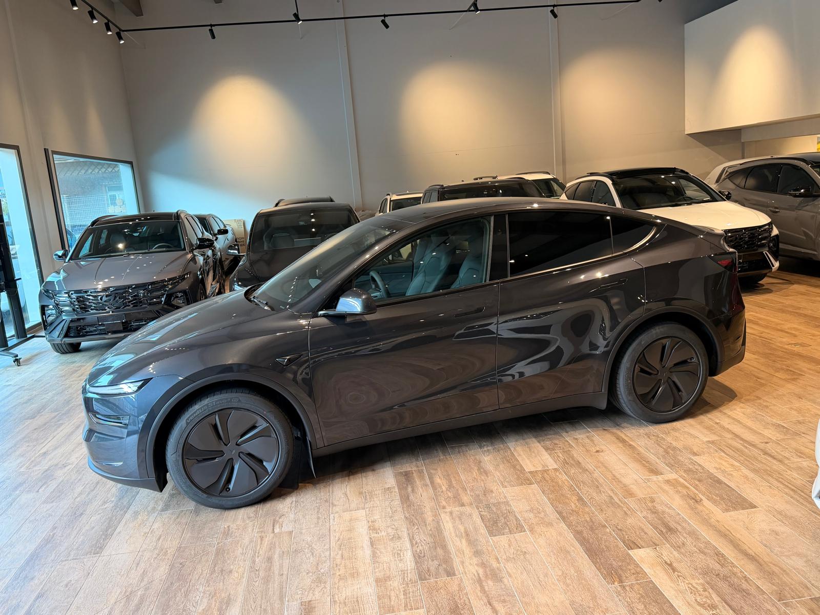 TESLA Model Y Long Range Premium AWDđ„8-fachđ„-image-6