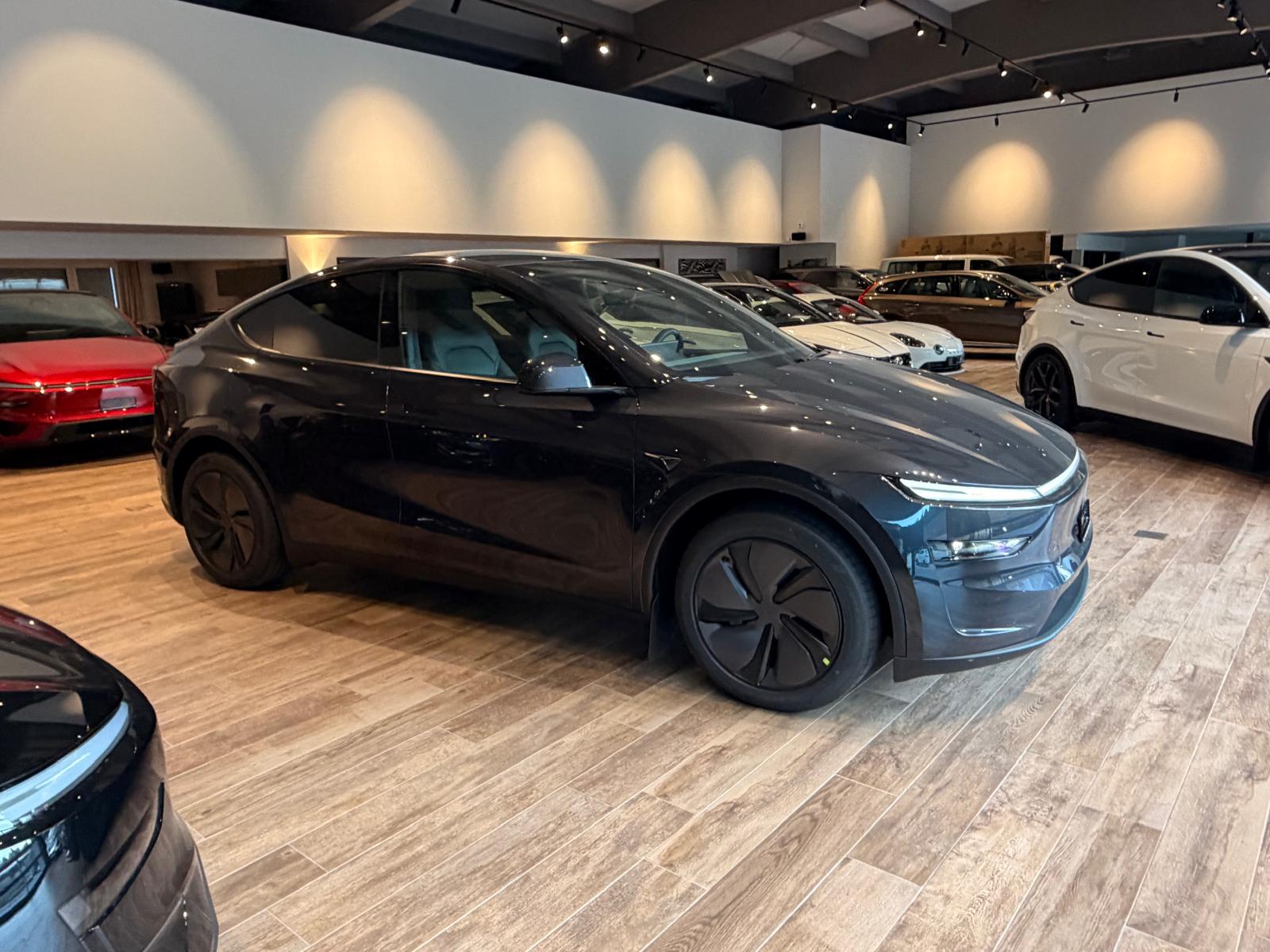 TESLA Model Y Long Range Premium AWDđ„8-fachđ„-image-5