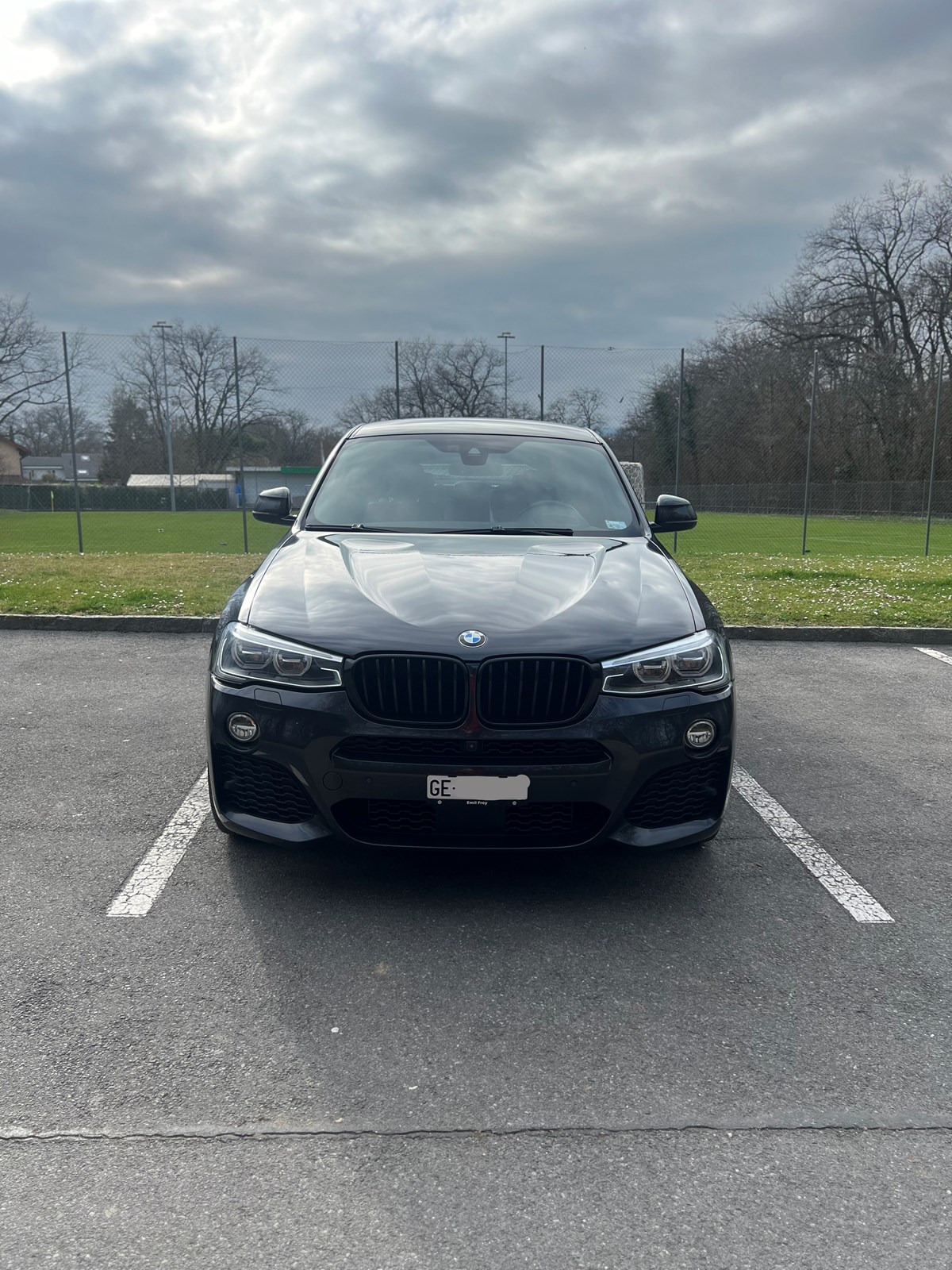 BMW X4 xDrive 30d Steptronic-image-1