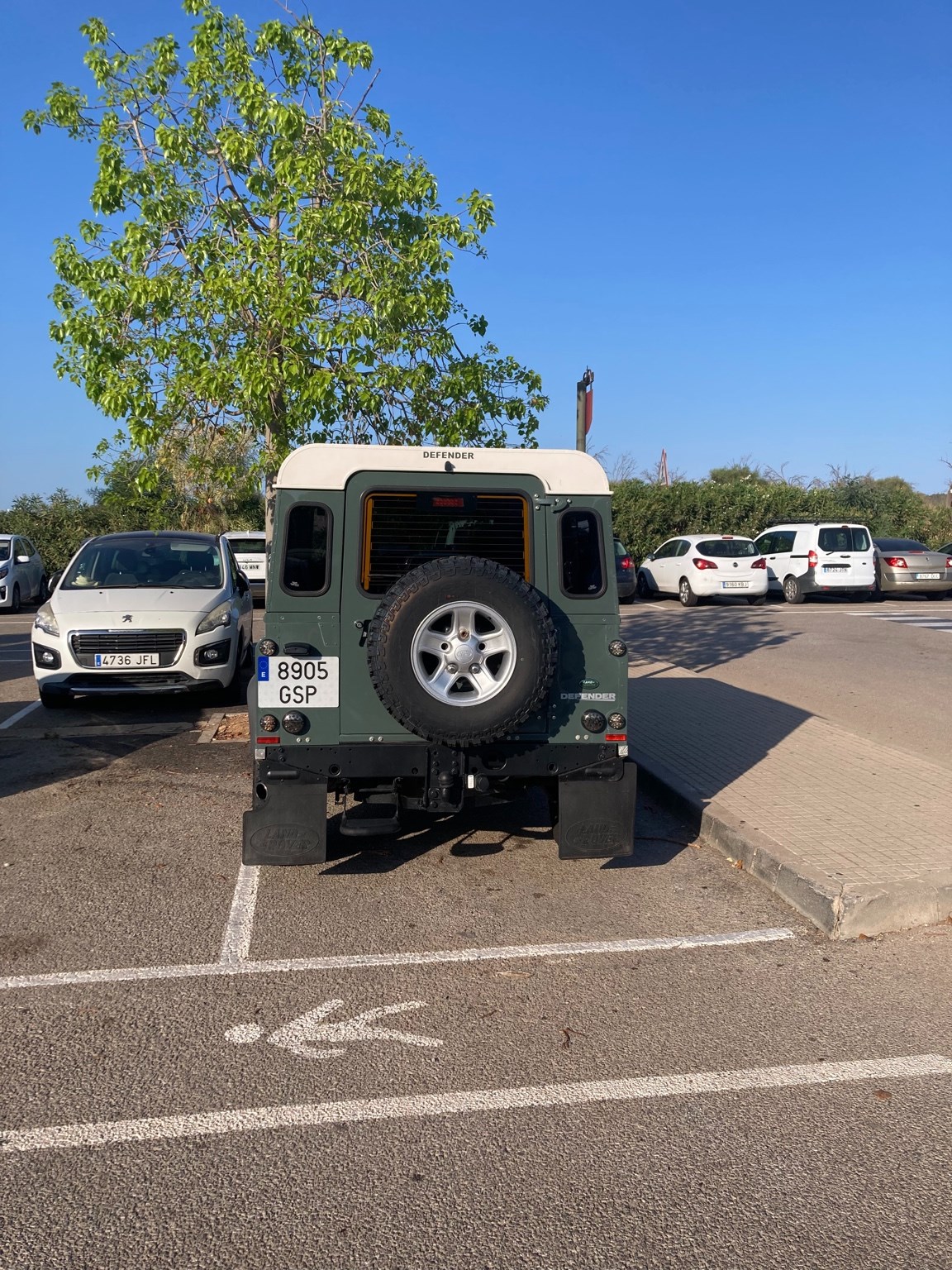 LAND ROVER Defender 90 SW 2.4Tdc-image-8