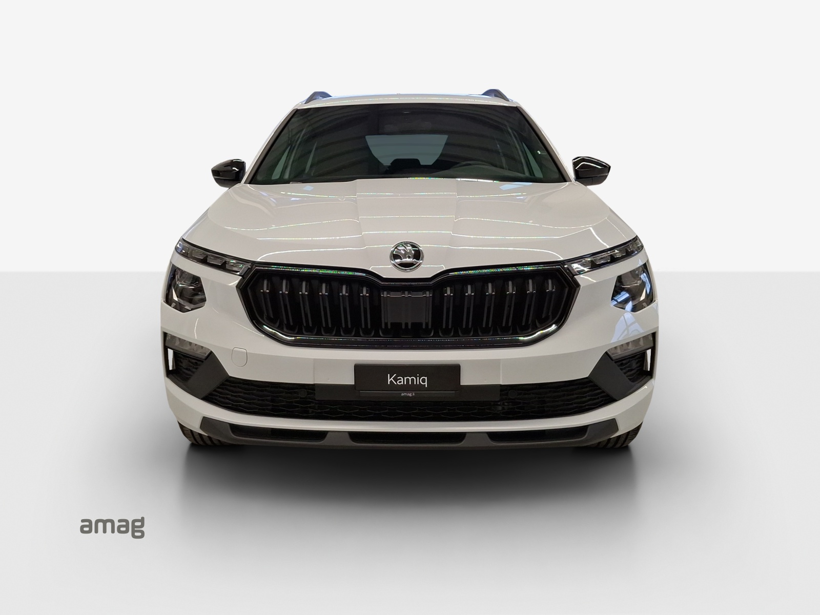 SKODA Kamiq 1.5 TSI Dynamic DSG-image-6